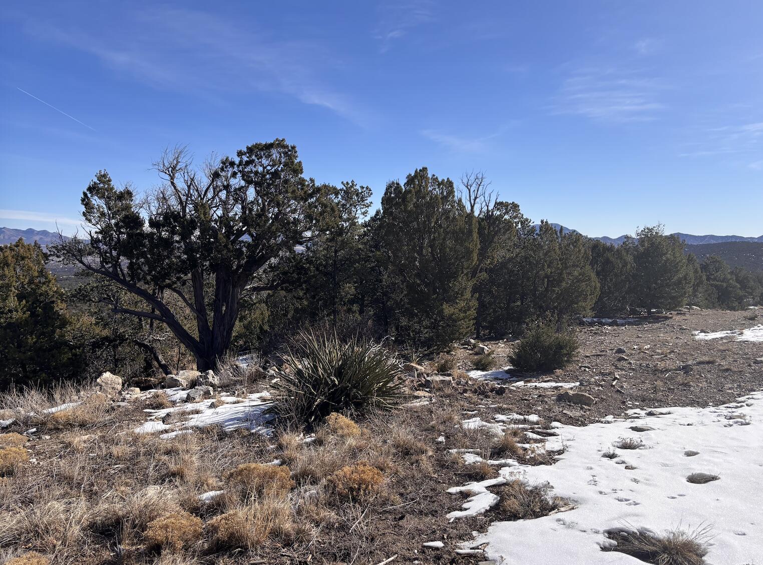 Photo 20 —  Subd:MOUNTAIN VIEW ACRES Lot:6