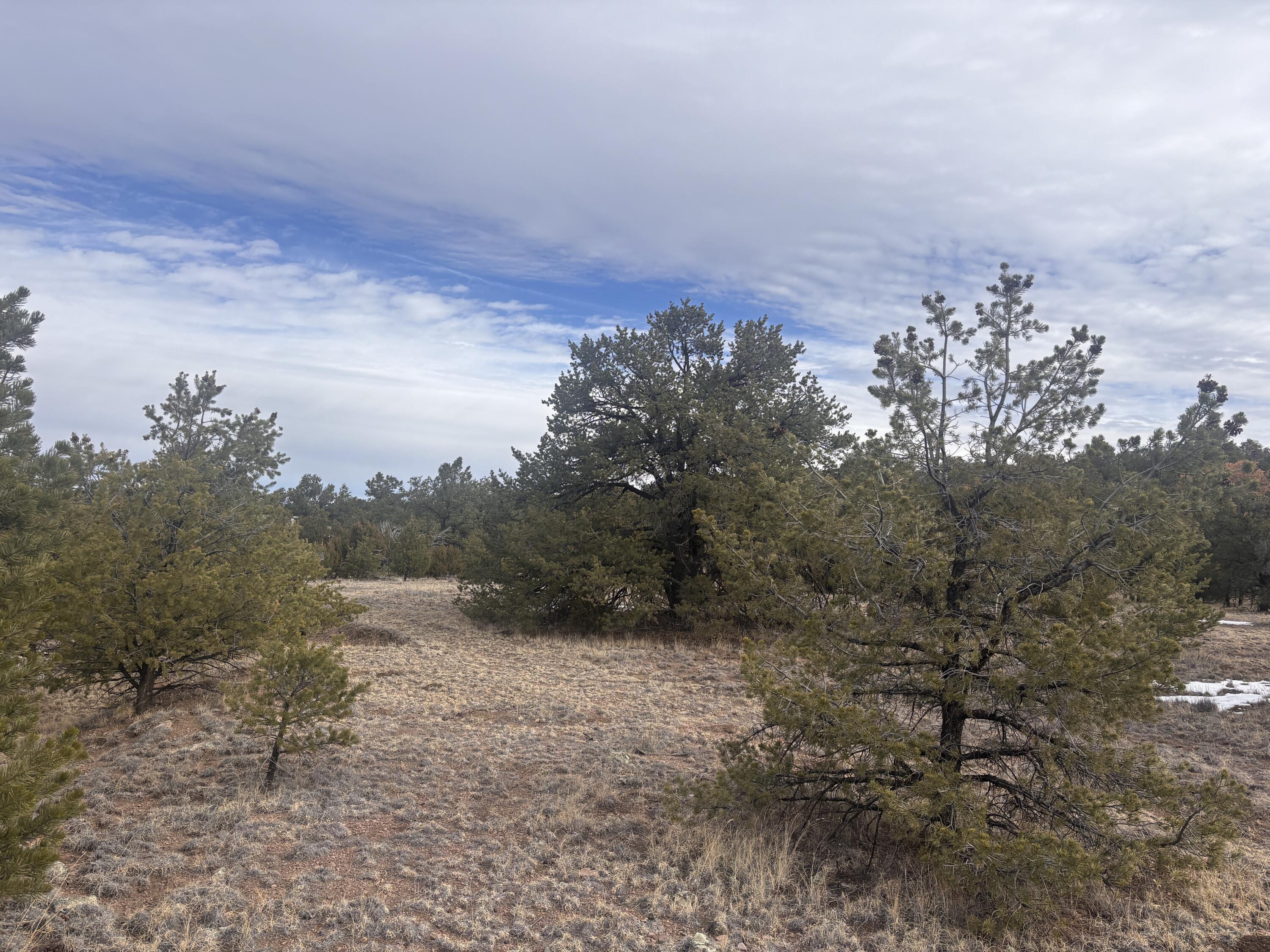 Photo 9 — 227 Tee Pee Trail