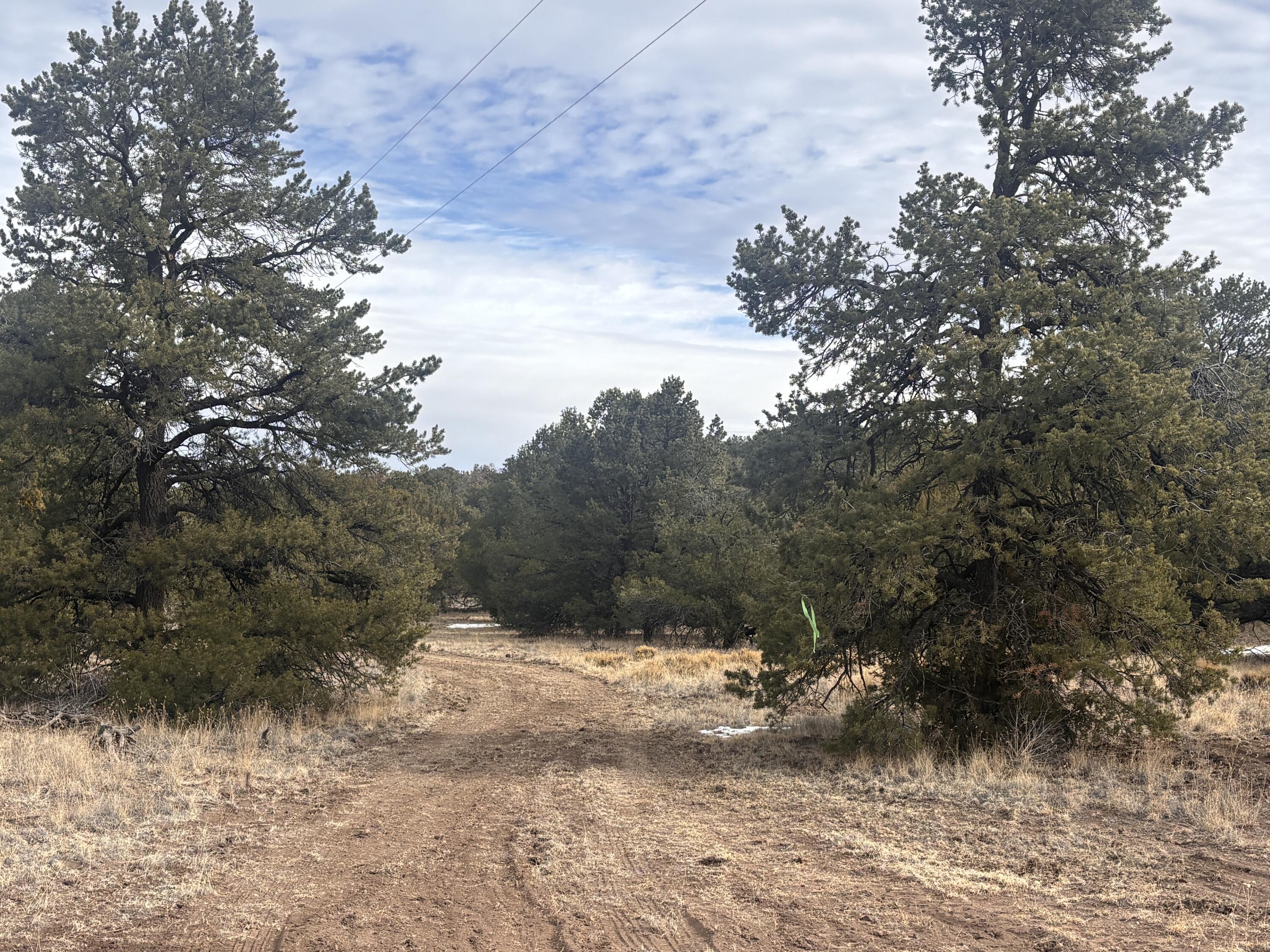 Photo 10 — 227 Tee Pee Trail