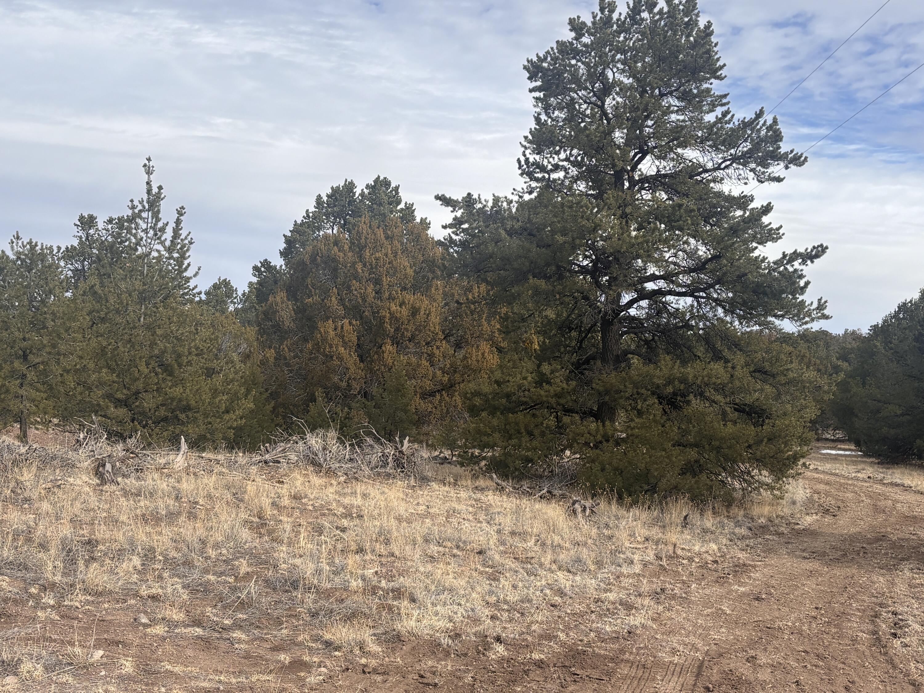 Photo 11 — 227 Tee Pee Trail