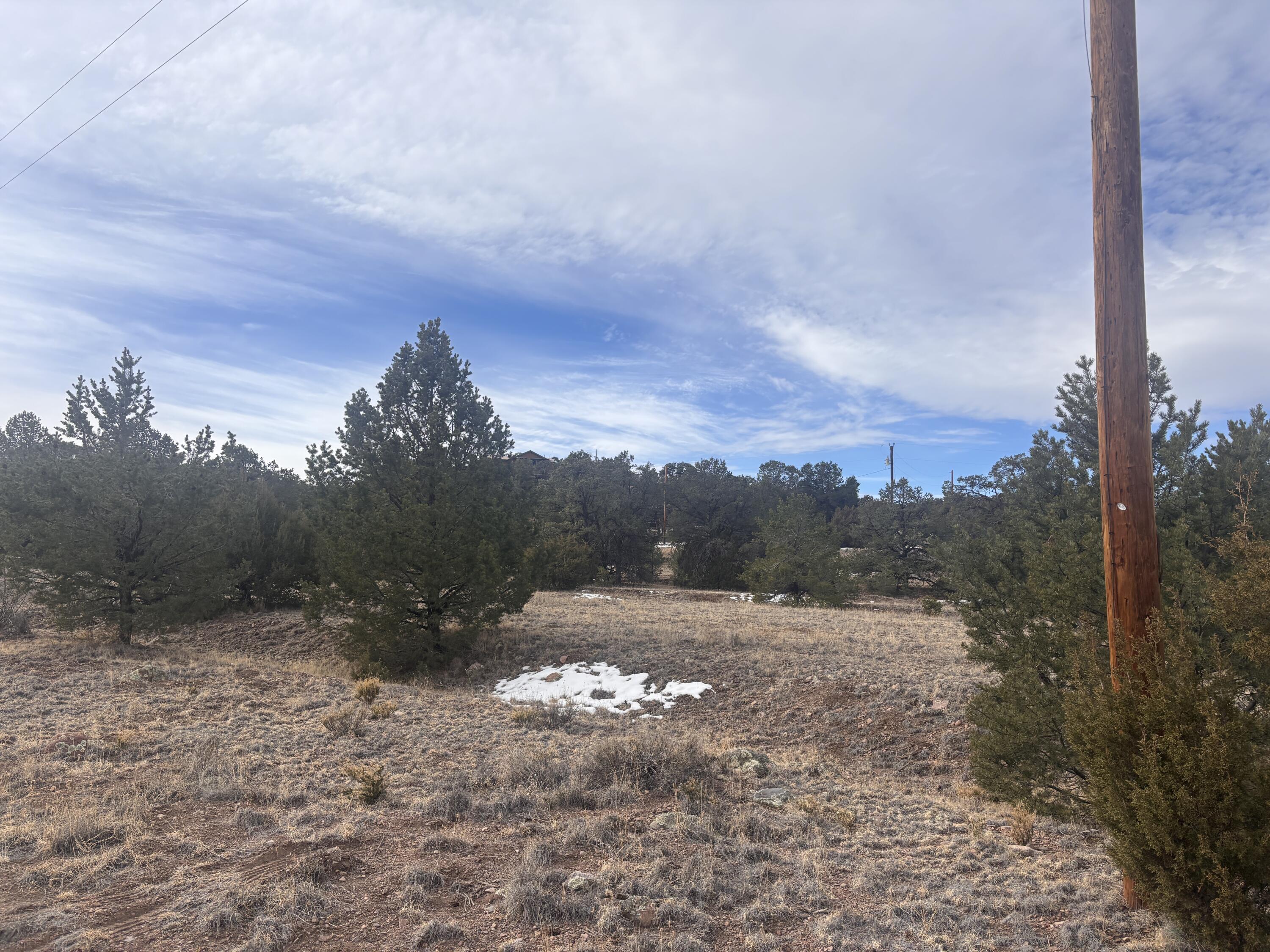 Photo 12 — 227 Tee Pee Trail