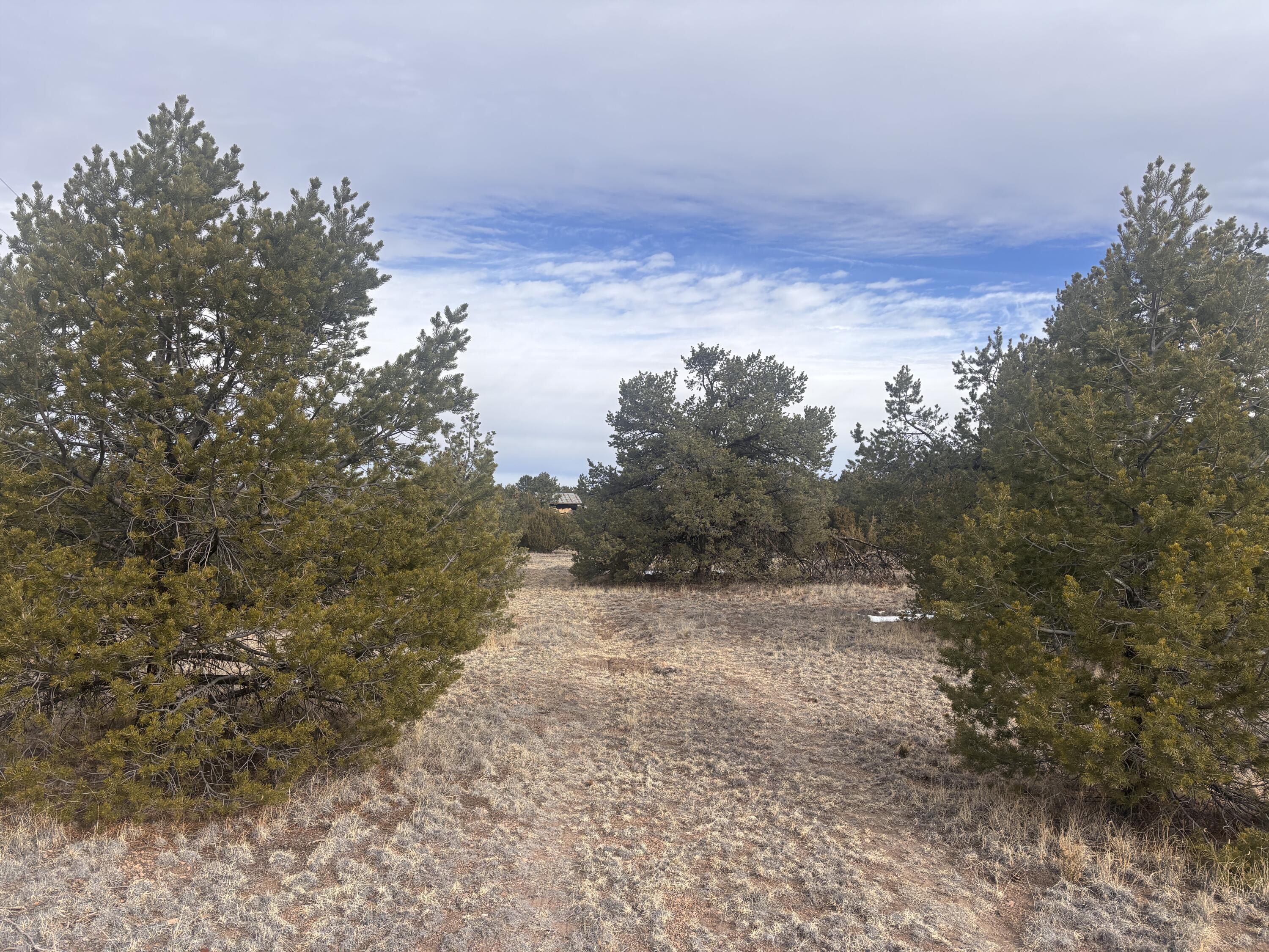 Photo 13 — 227 Tee Pee Trail