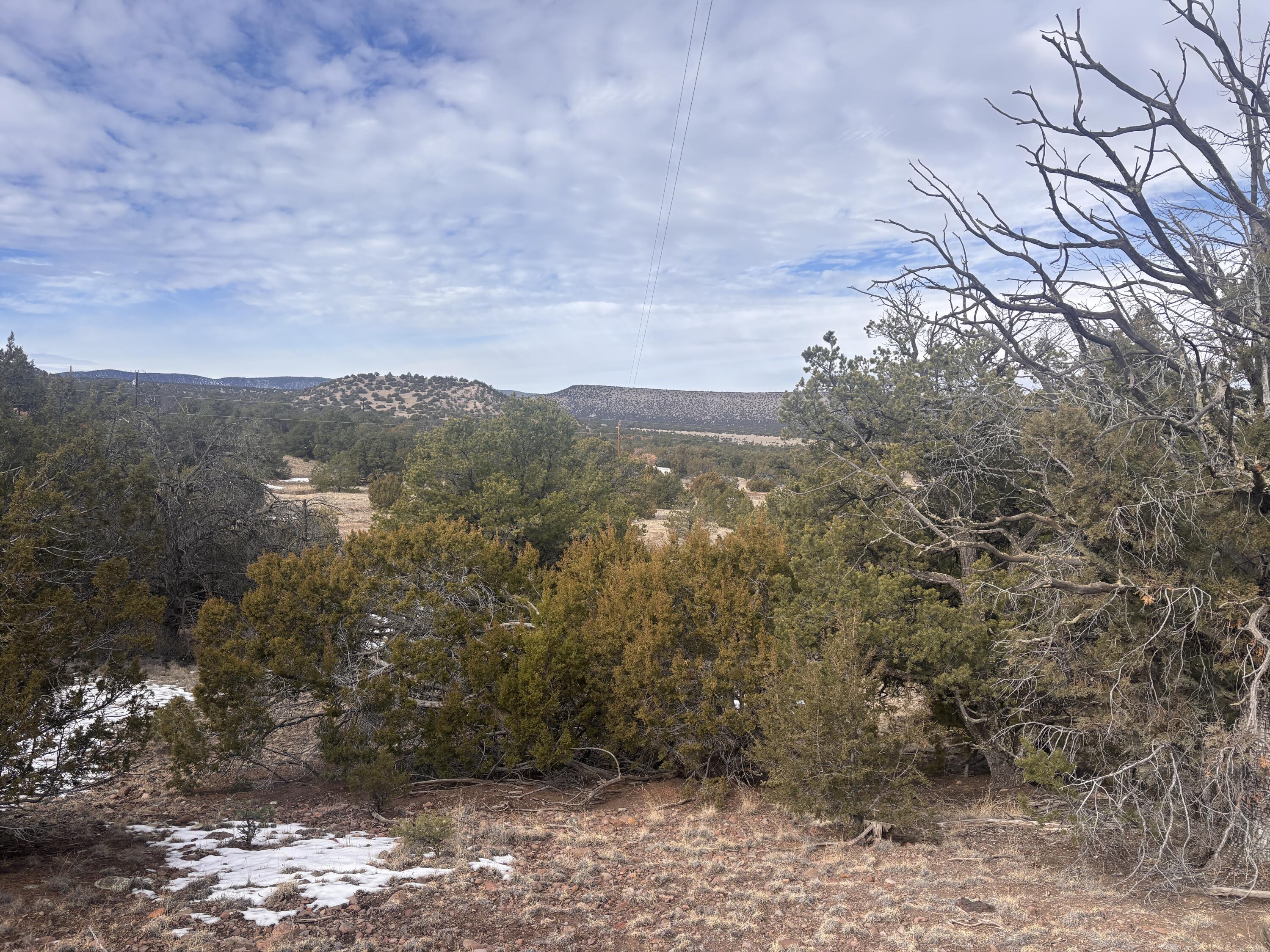 Photo 14 — 227 Tee Pee Trail