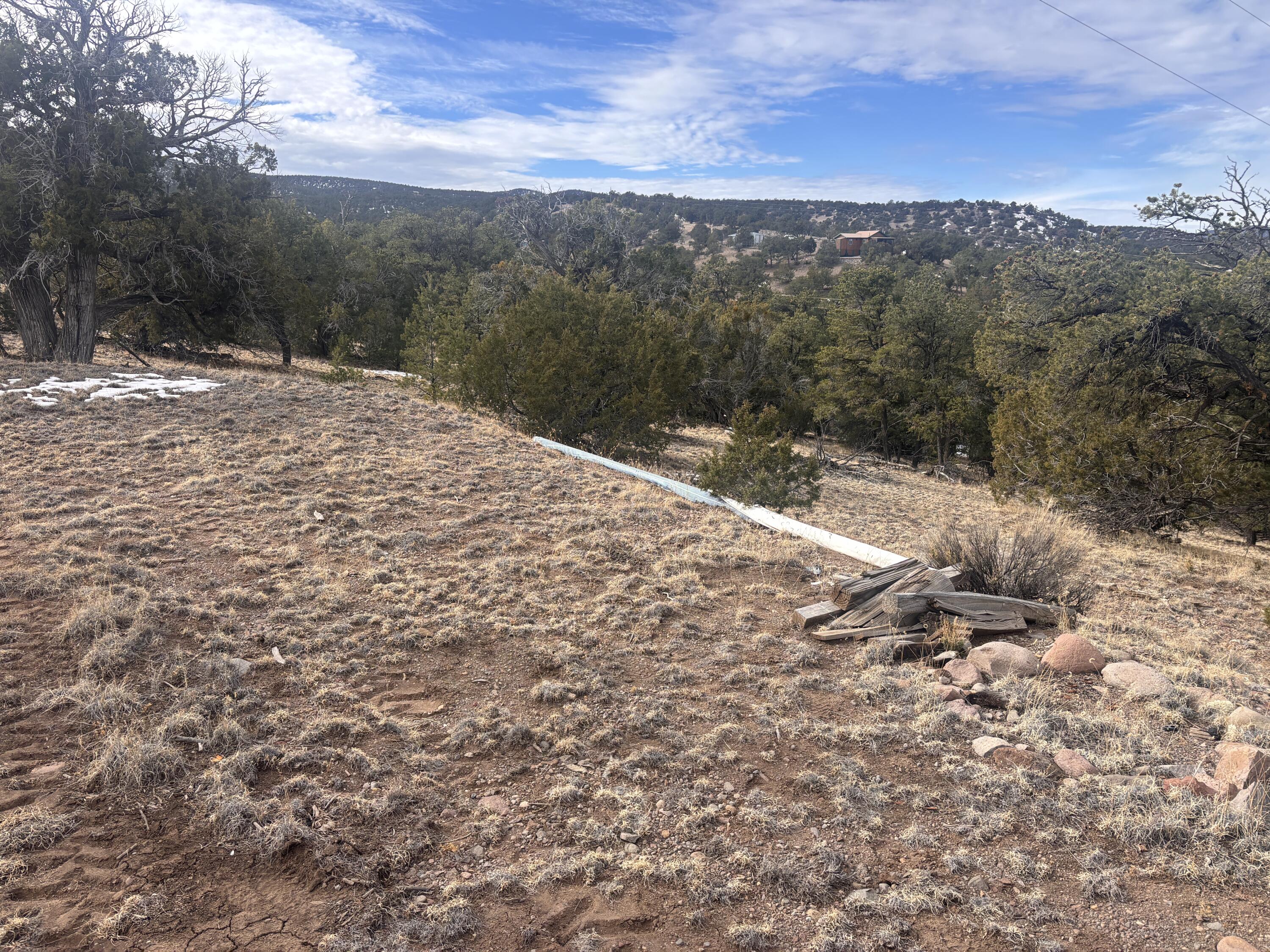 Photo 15 — 227 Tee Pee Trail
