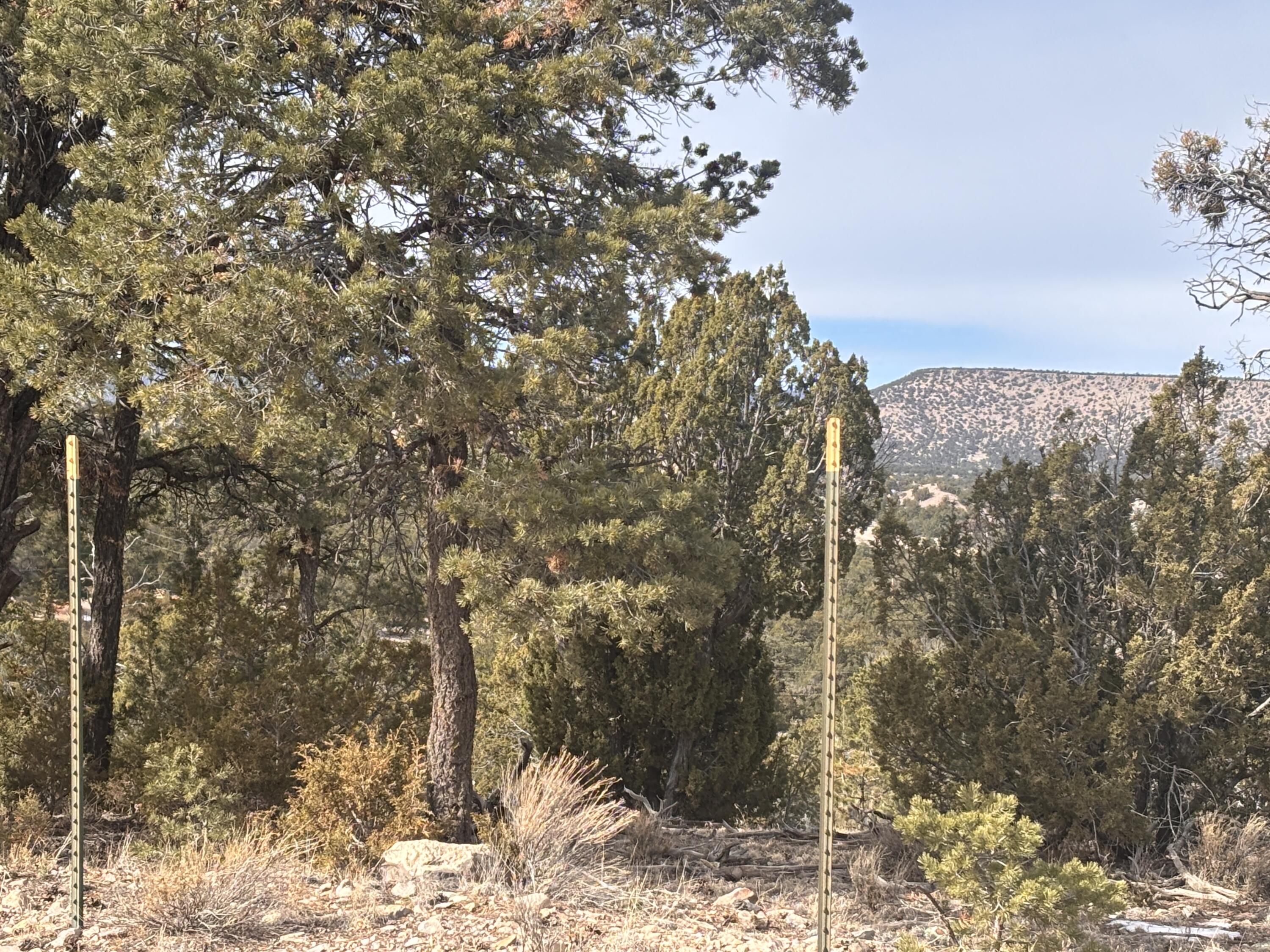 Photo 18 — 227 Tee Pee Trail