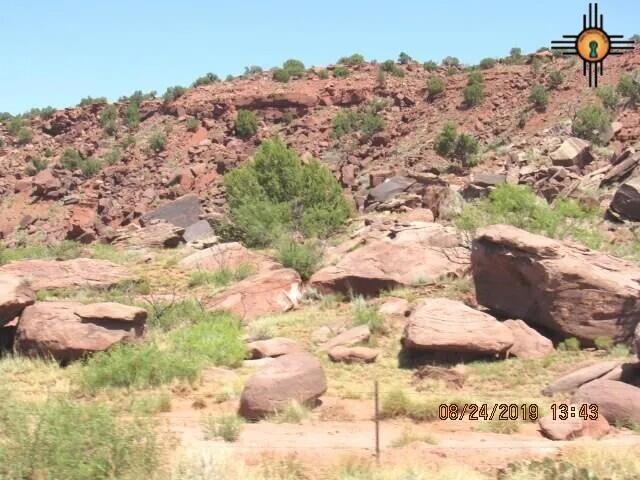 45 Bull Canyon Loop