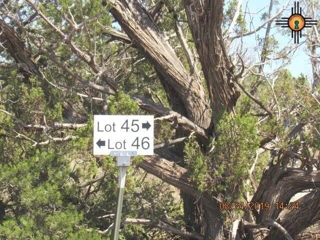 Photo 8 — 45 Bull Canyon Loop