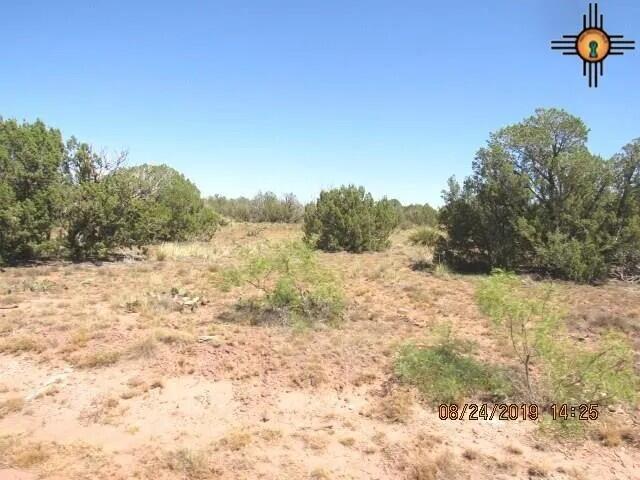 Photo 2 — 45 Bull Canyon Loop