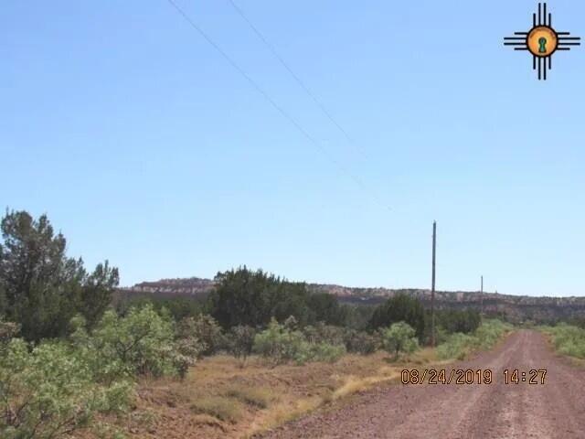 Photo 4 — 45 Bull Canyon Loop