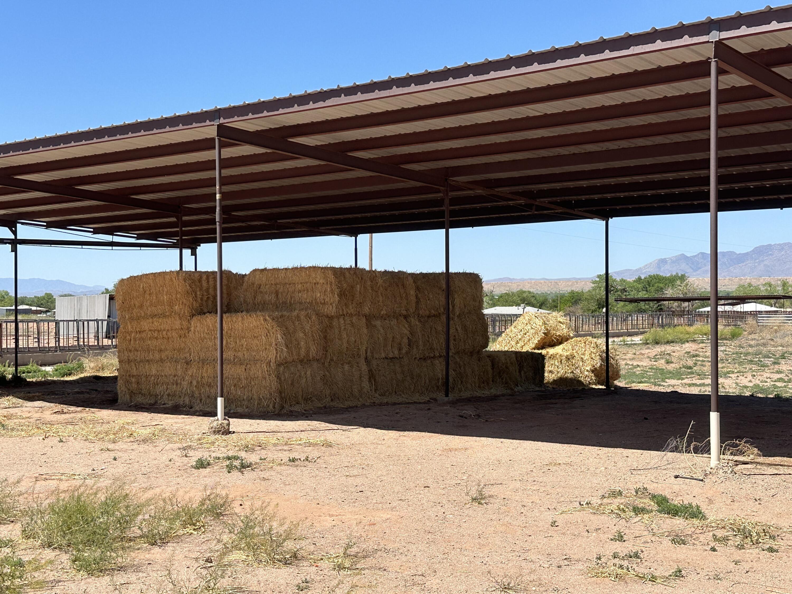 Photo 7 — 1134 New Mexico 304