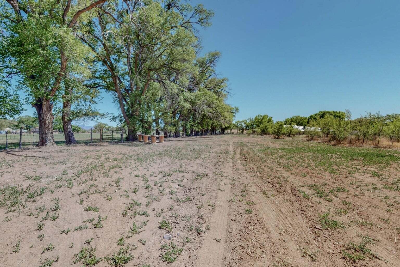 Photo 15 — 2216 Pajarito parcel 2 Road SW