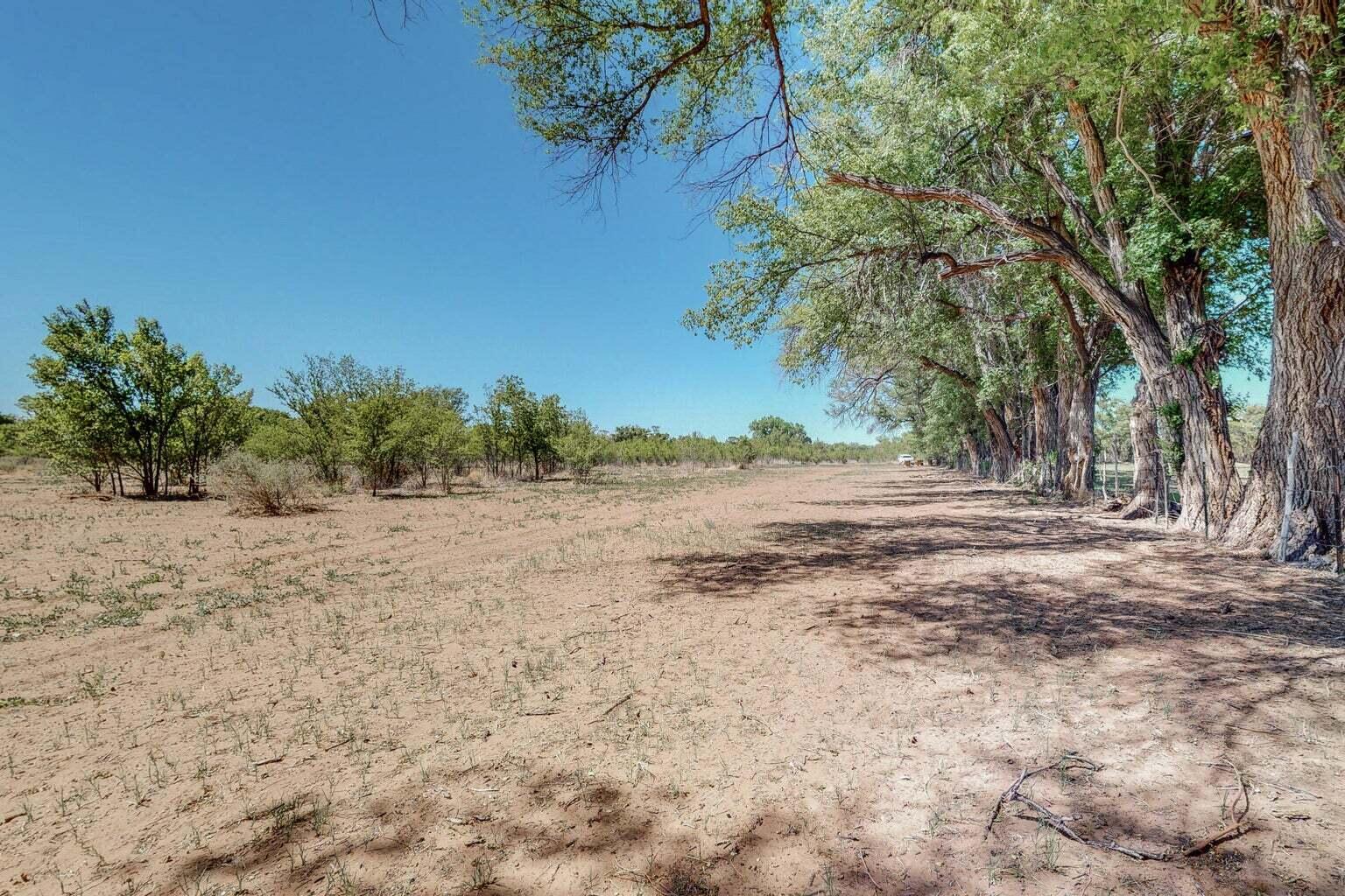 Photo 19 — 2216 Pajarito parcel 2 Road SW