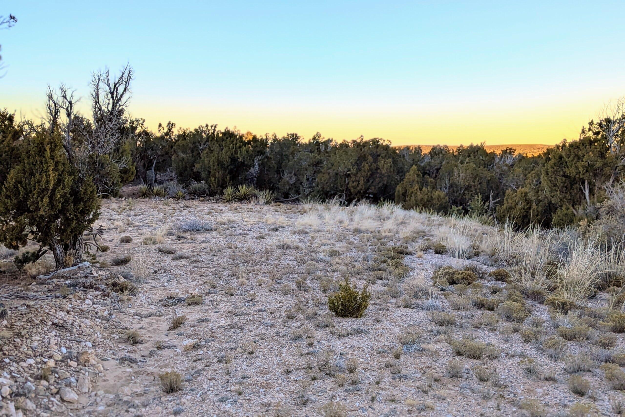Photo 5 — 1151 Deer Canyon Trail