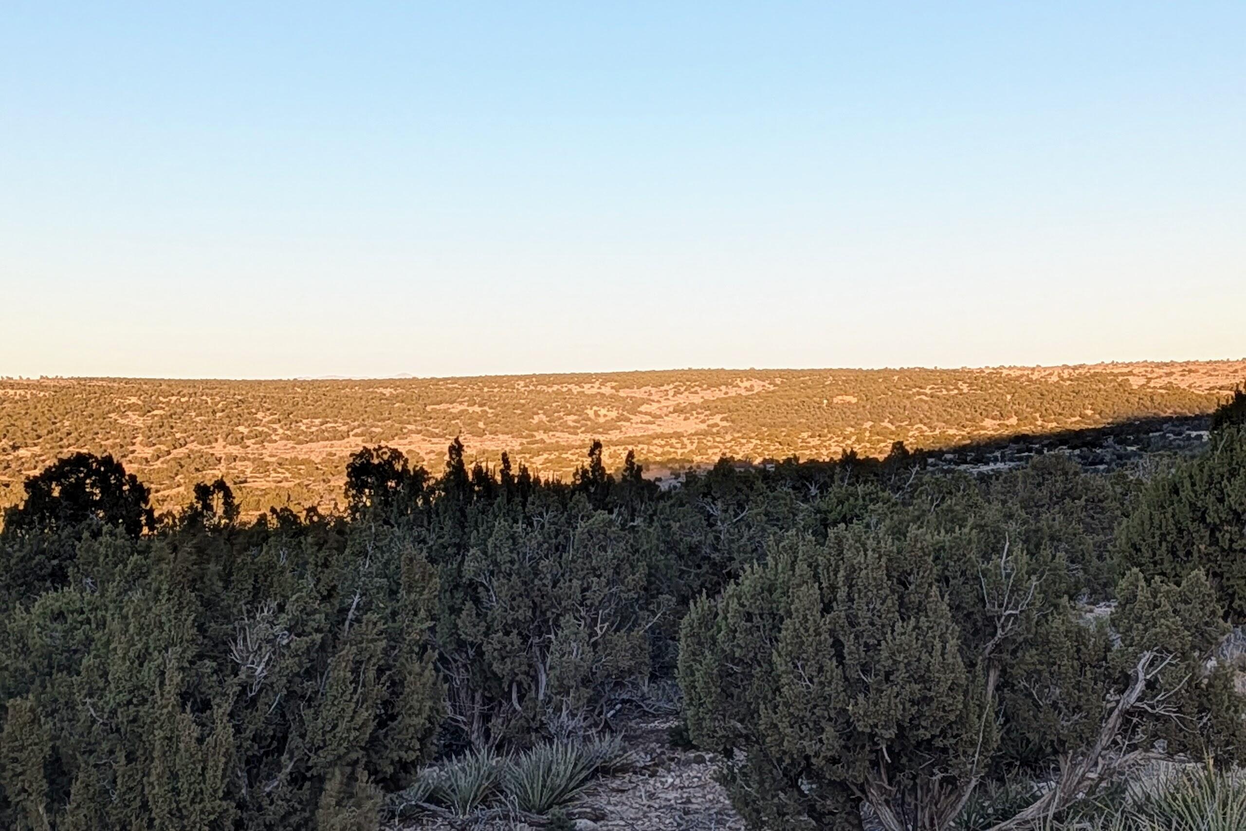 Photo 4 — 1151 Deer Canyon Trail
