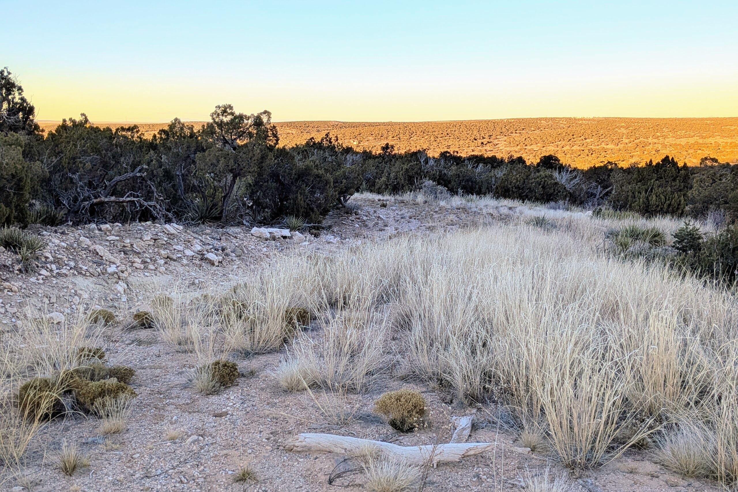Photo 3 — 1151 Deer Canyon Trail