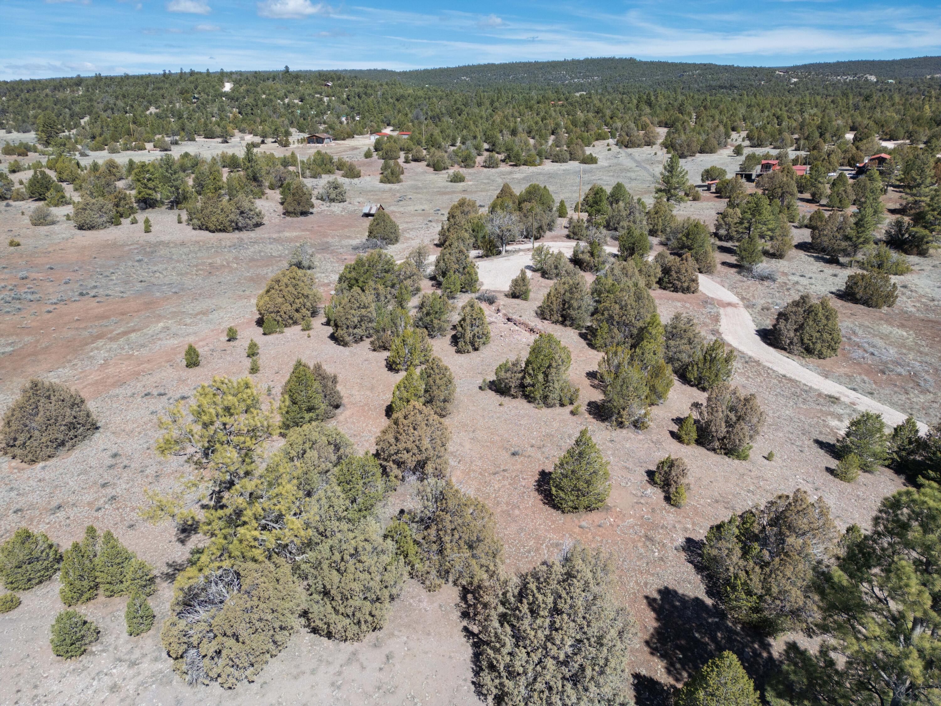 Photo 18 — 700 Timberlake Road