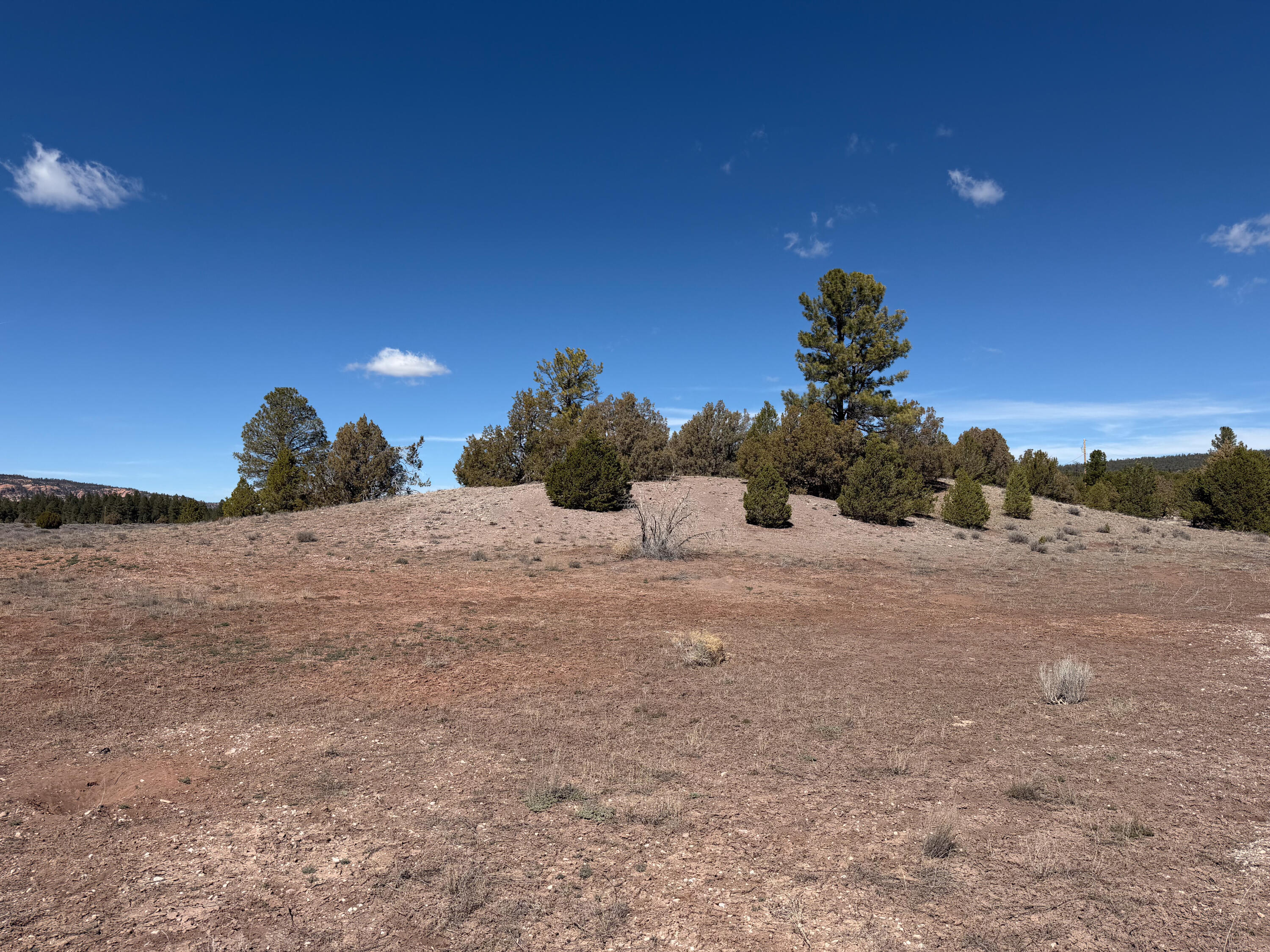 Photo 15 — 700 Timberlake Road