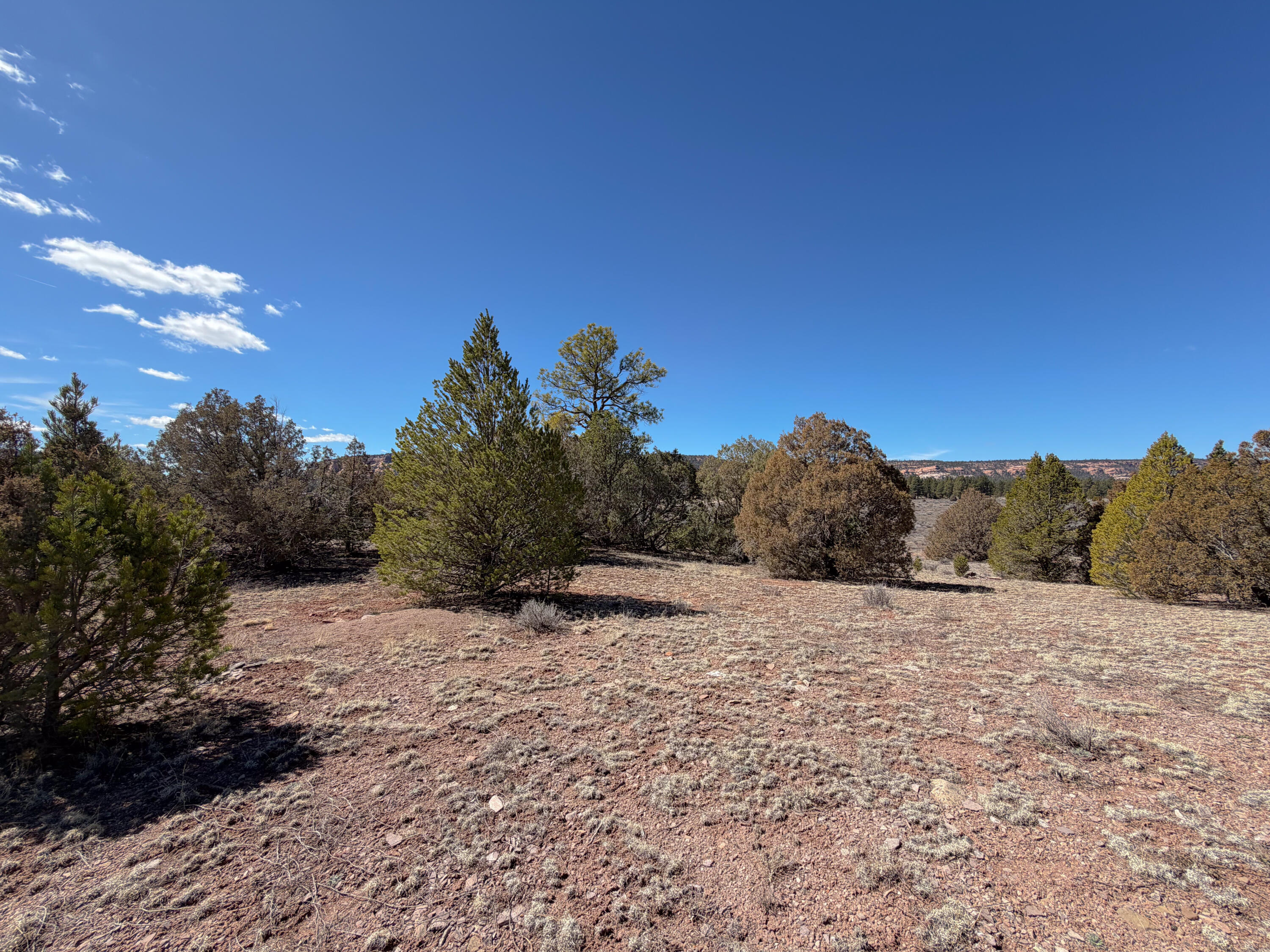 Photo 14 — 700 Timberlake Road