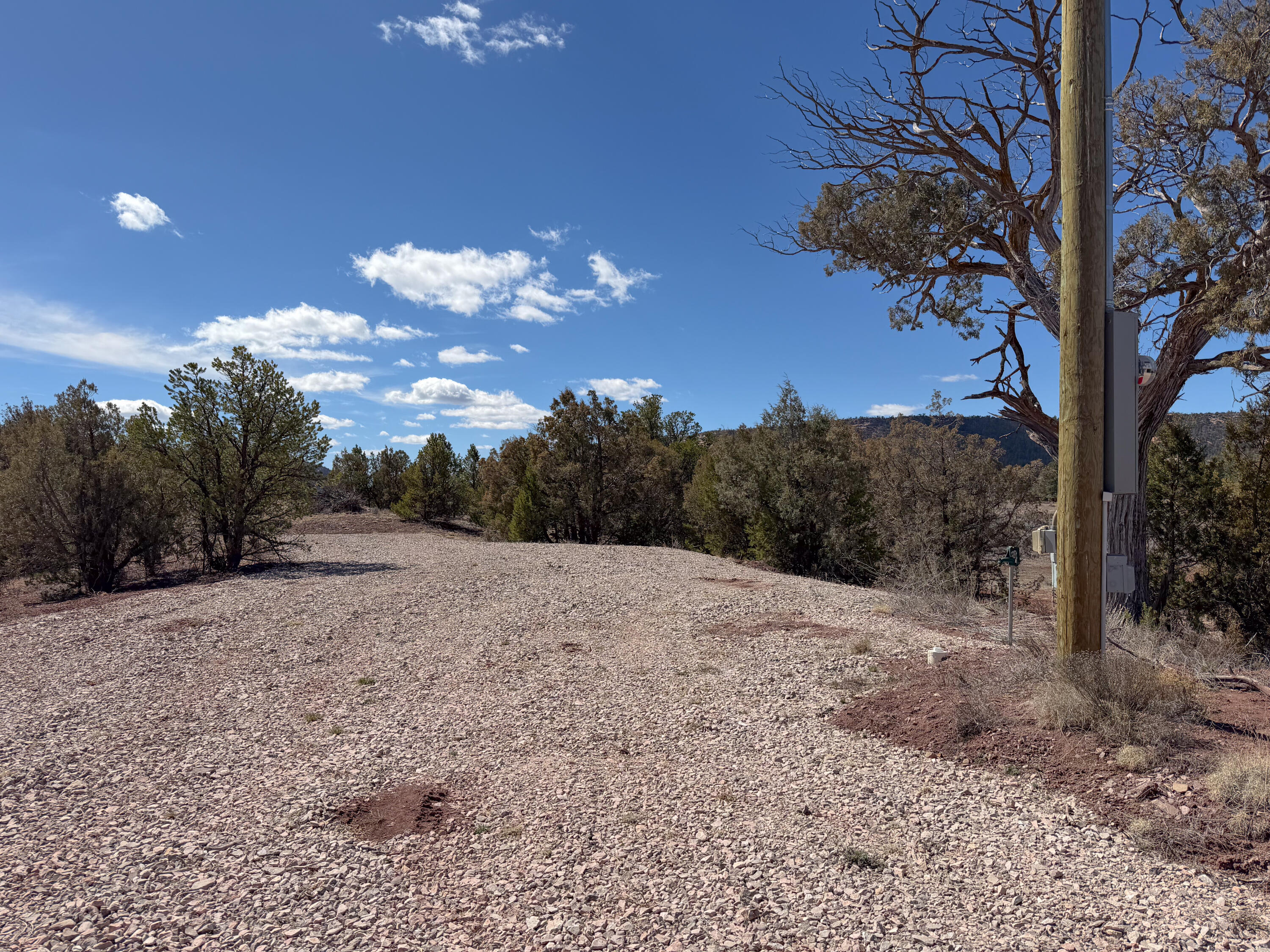 Photo 12 — 700 Timberlake Road