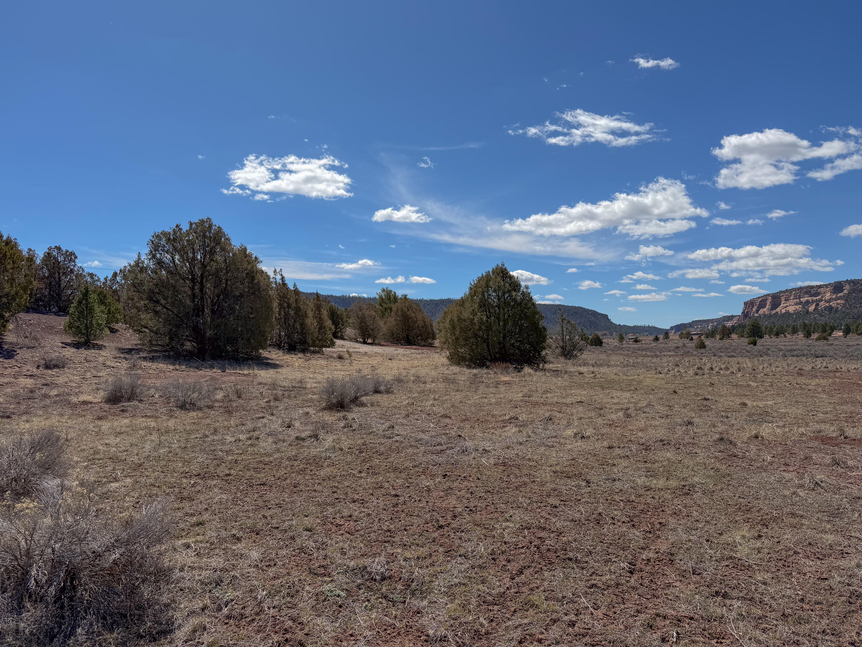 Photo 8 — 700 Timberlake Road