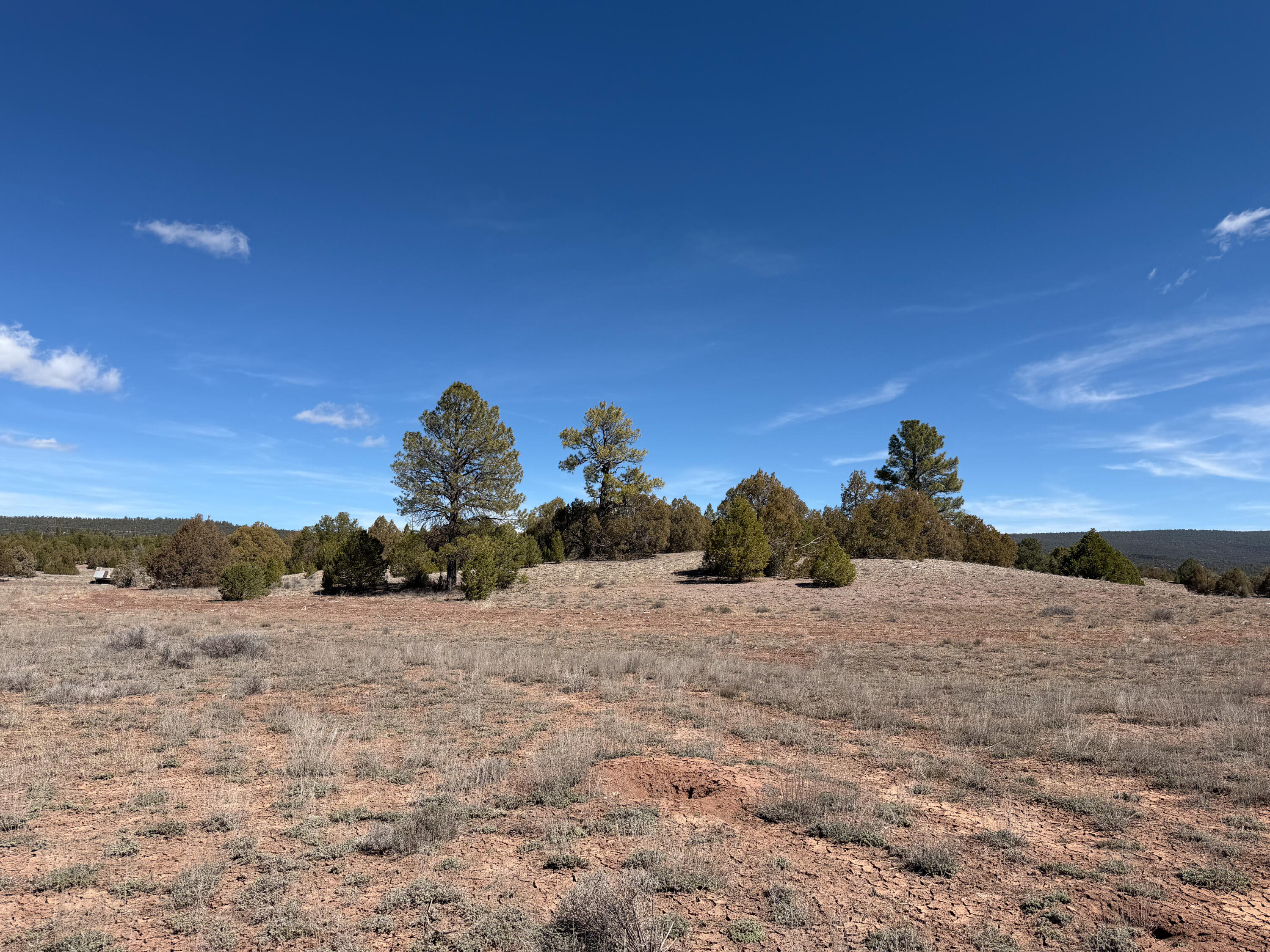 Photo 4 — 700 Timberlake Road