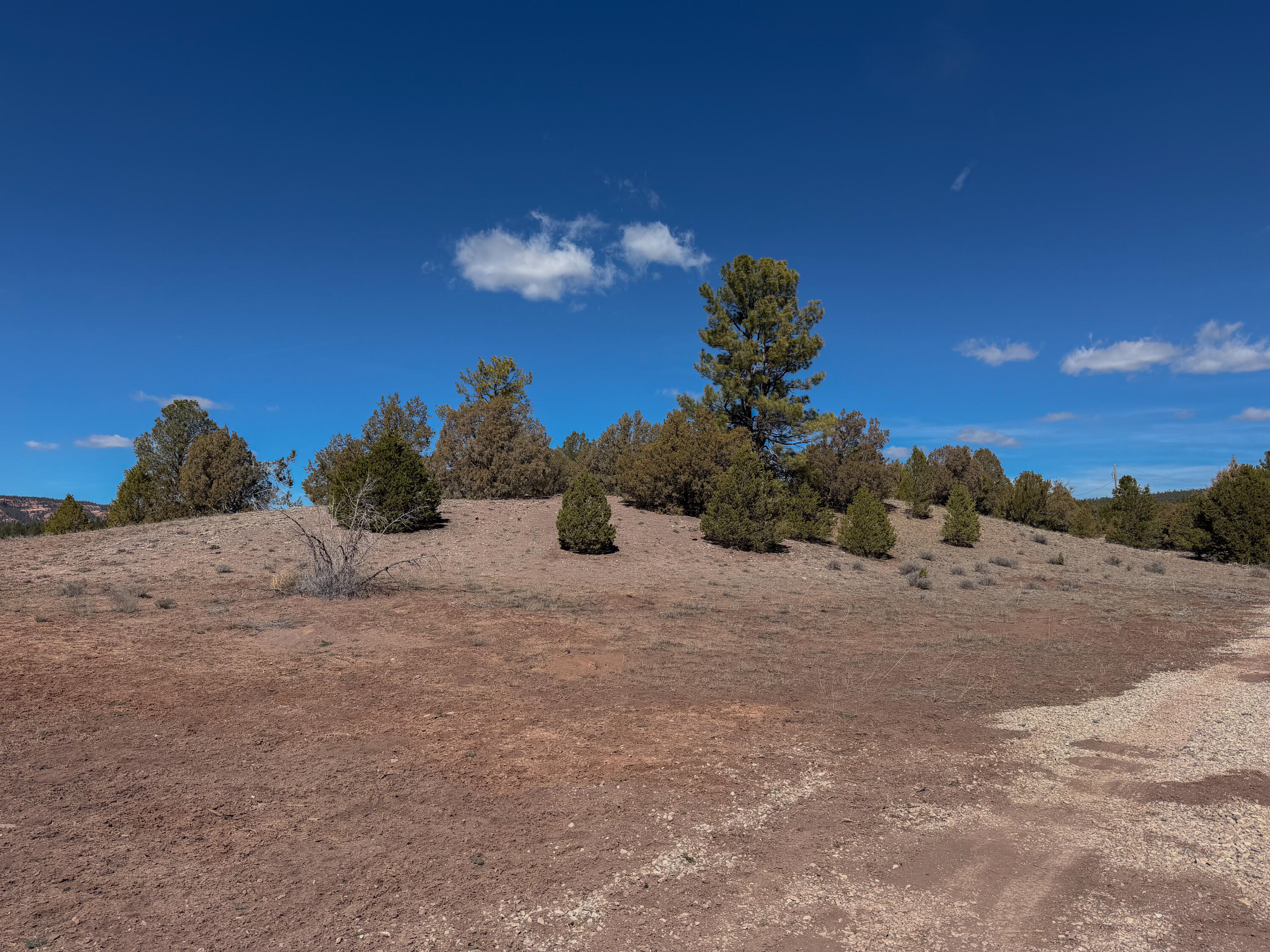 Photo 3 — 700 Timberlake Road