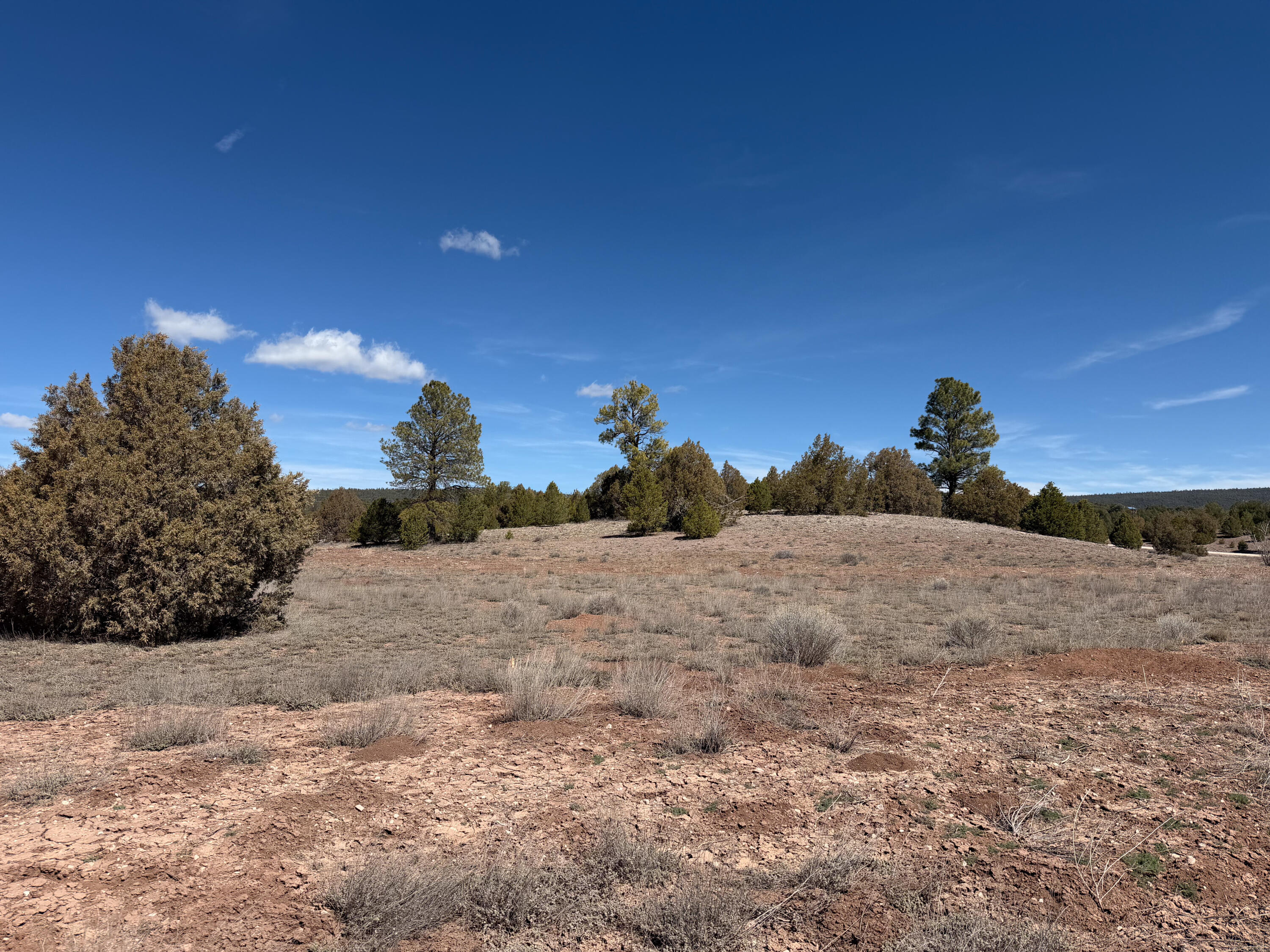 Photo 2 — 700 Timberlake Road