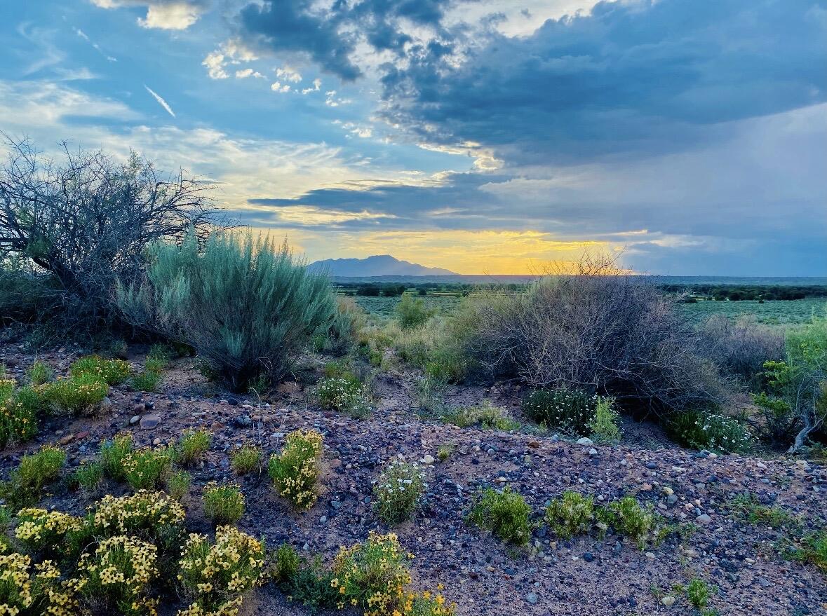 Photo 5 —  ranchos de veguita 14 lot 4b