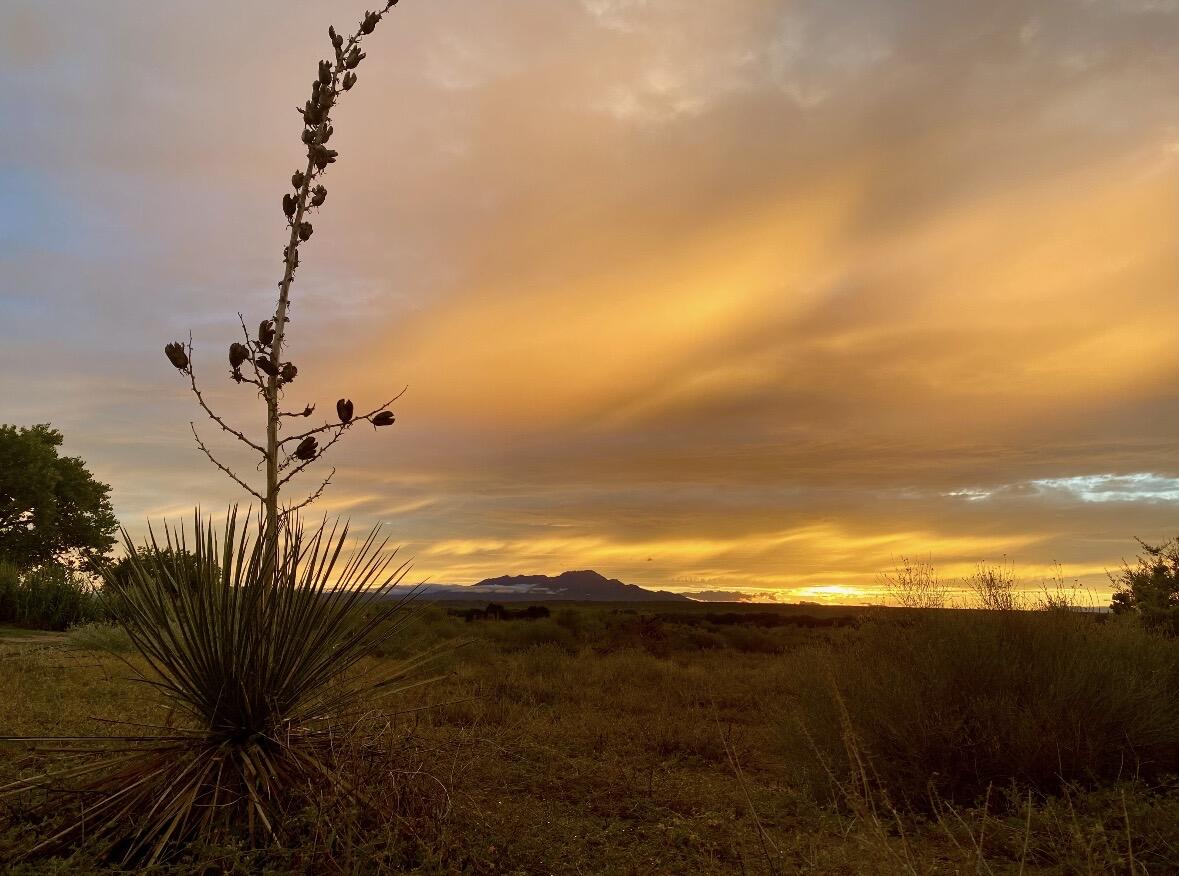 Photo 11 —  ranchos de veguita 14 lot 4b