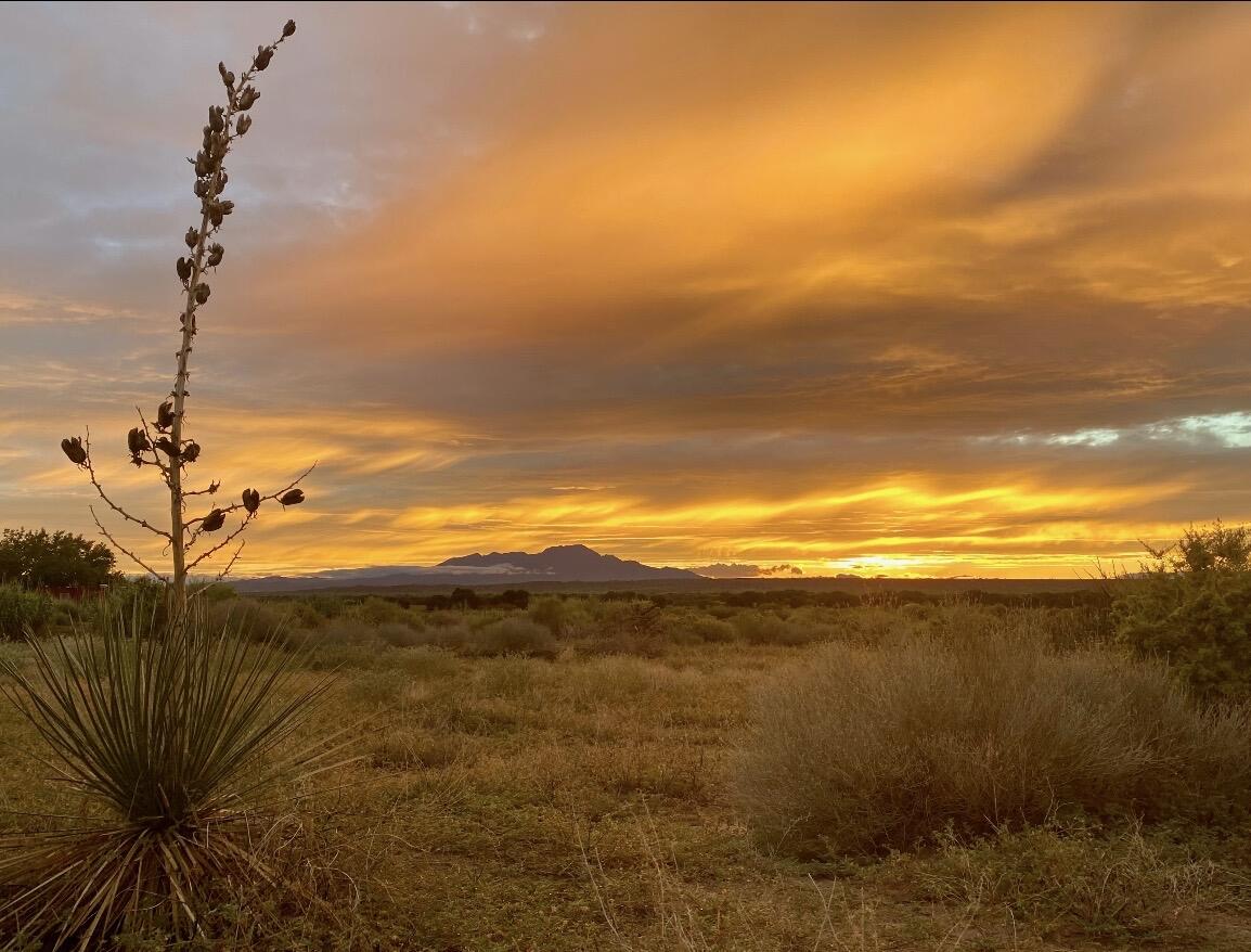 Photo 8 —  ranchos de veguita 14 lot 4b