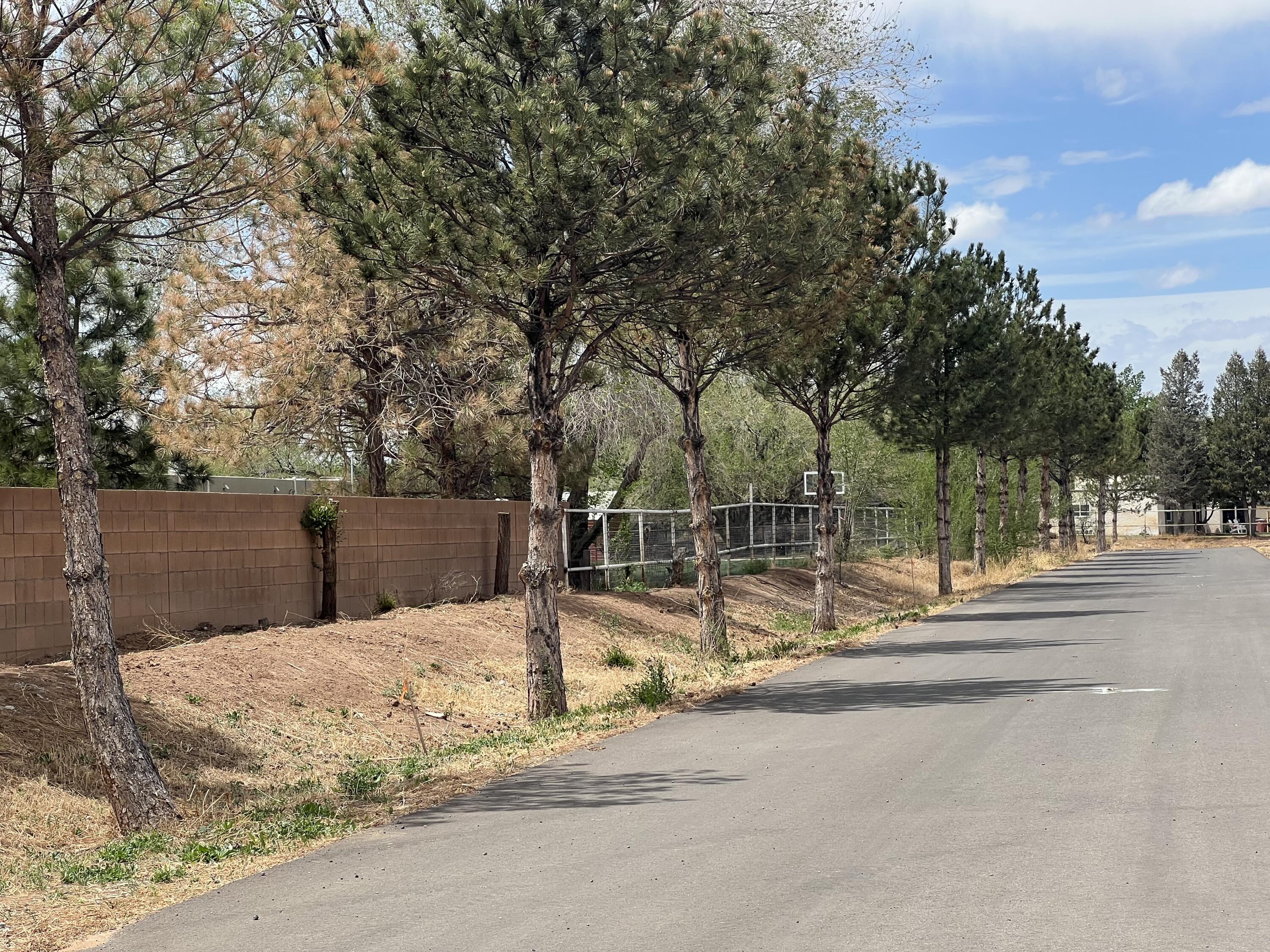 Photo 20 — 420 Pueblito Road