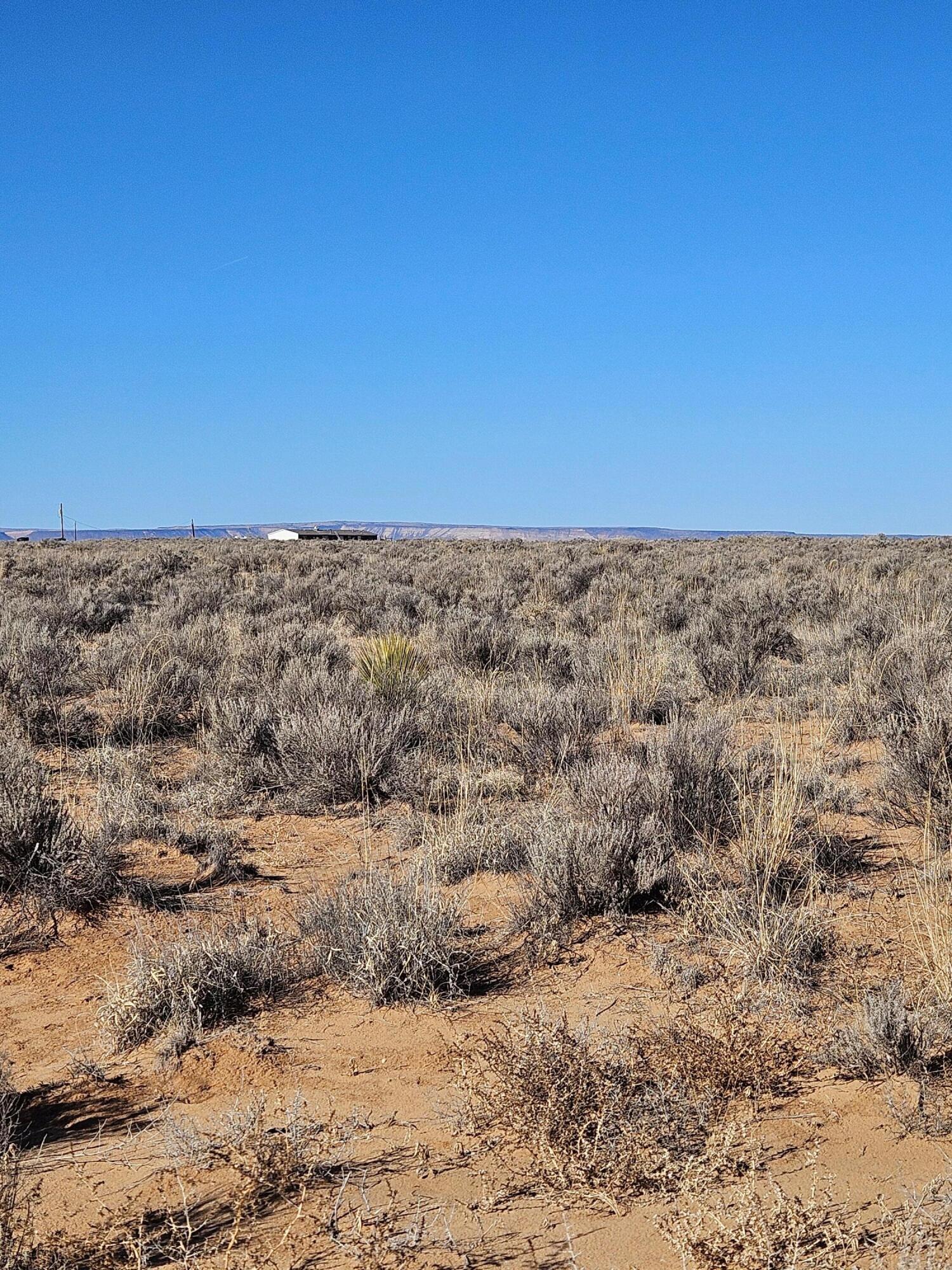 Photo 5 —  Duarte Road