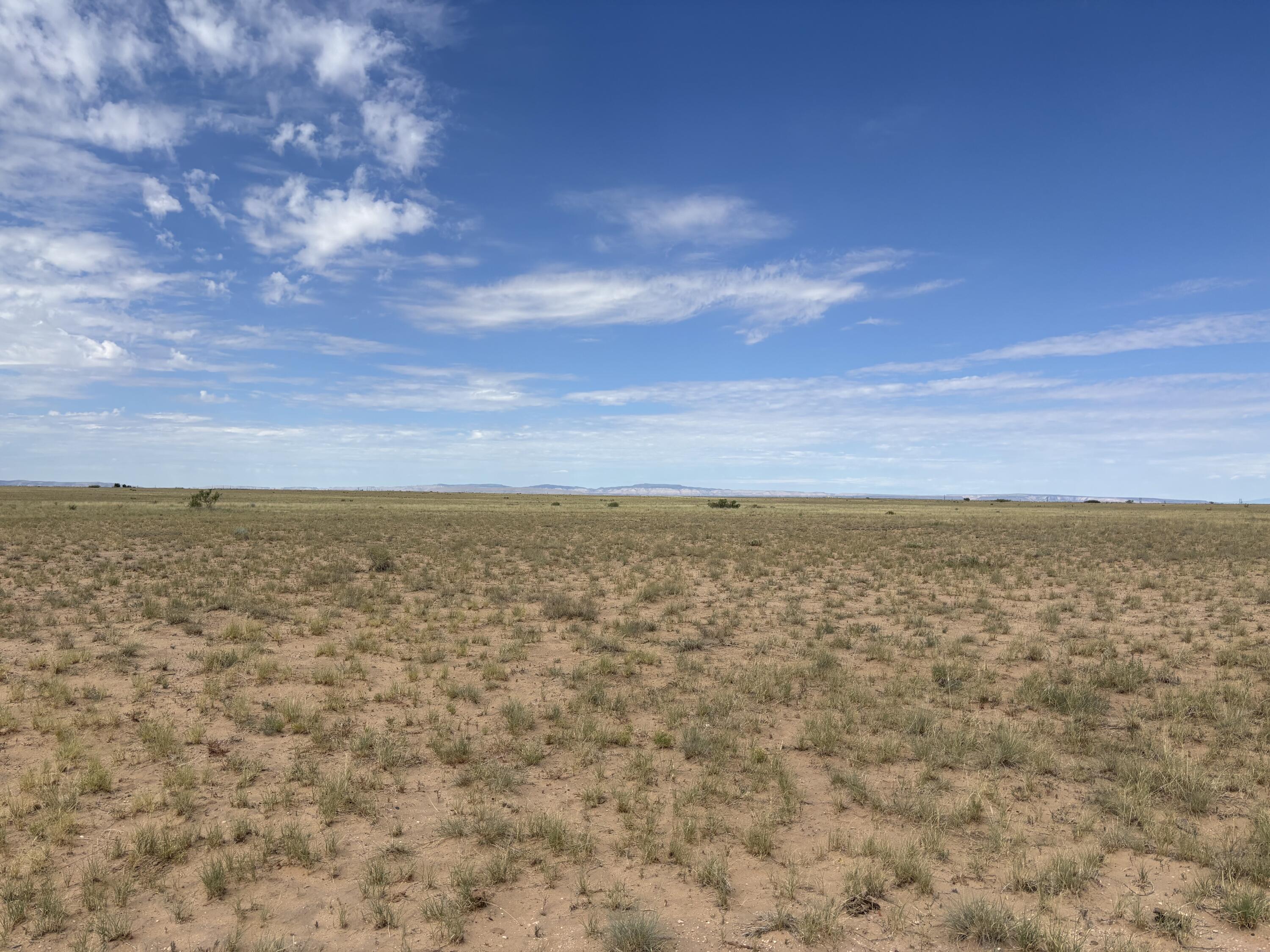 Photo 6 —  OFF OGAZ Road