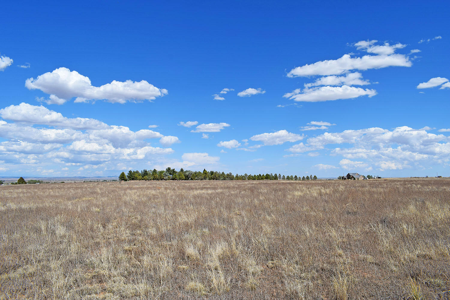 Photo 16 — Lot 30-31 Sam Ford Drive
