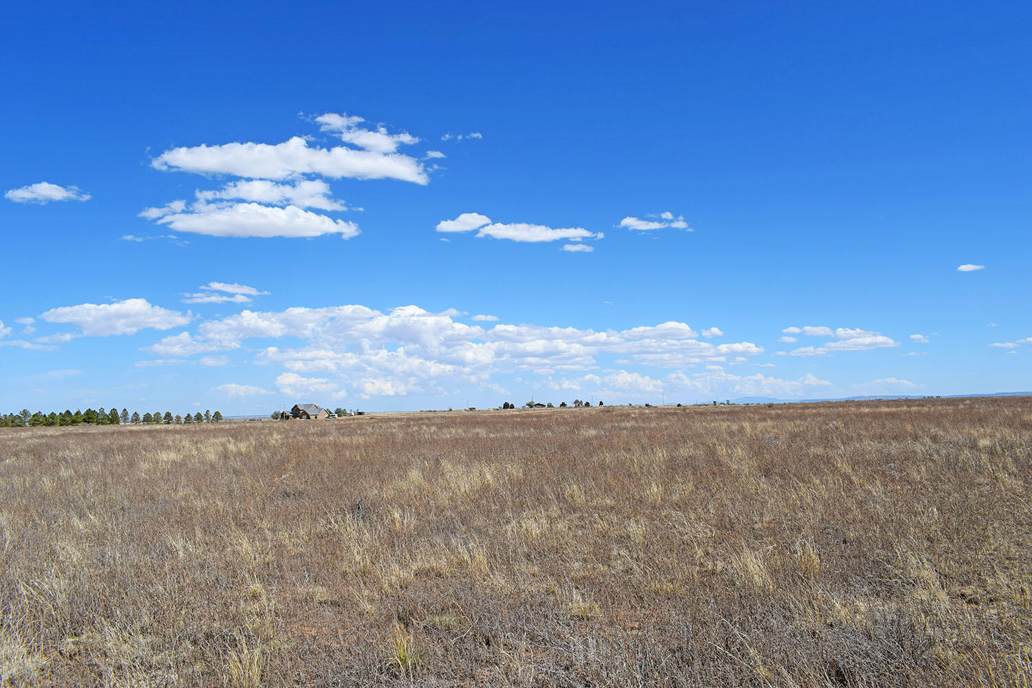 Photo 15 — Lot 30-31 Sam Ford Drive