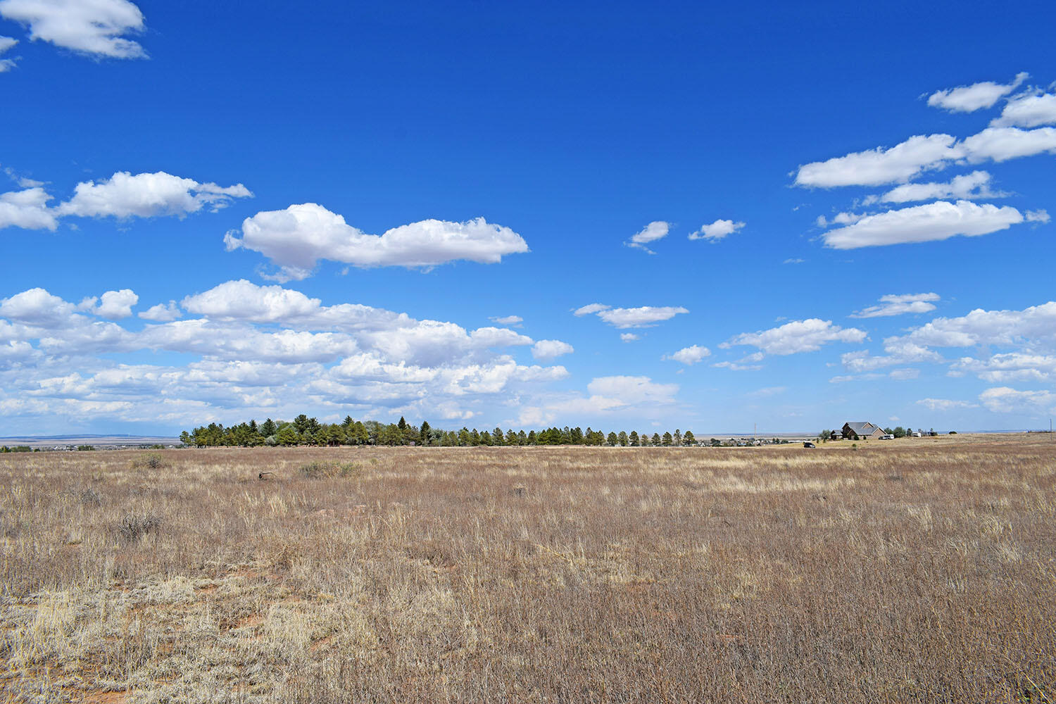 Photo 13 — Lot 30-31 Sam Ford Drive