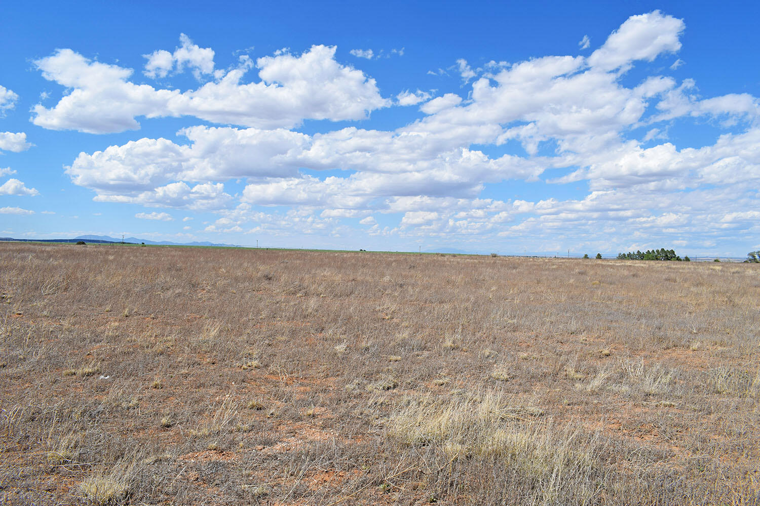 Photo 11 — Lot 30-31 Sam Ford Drive