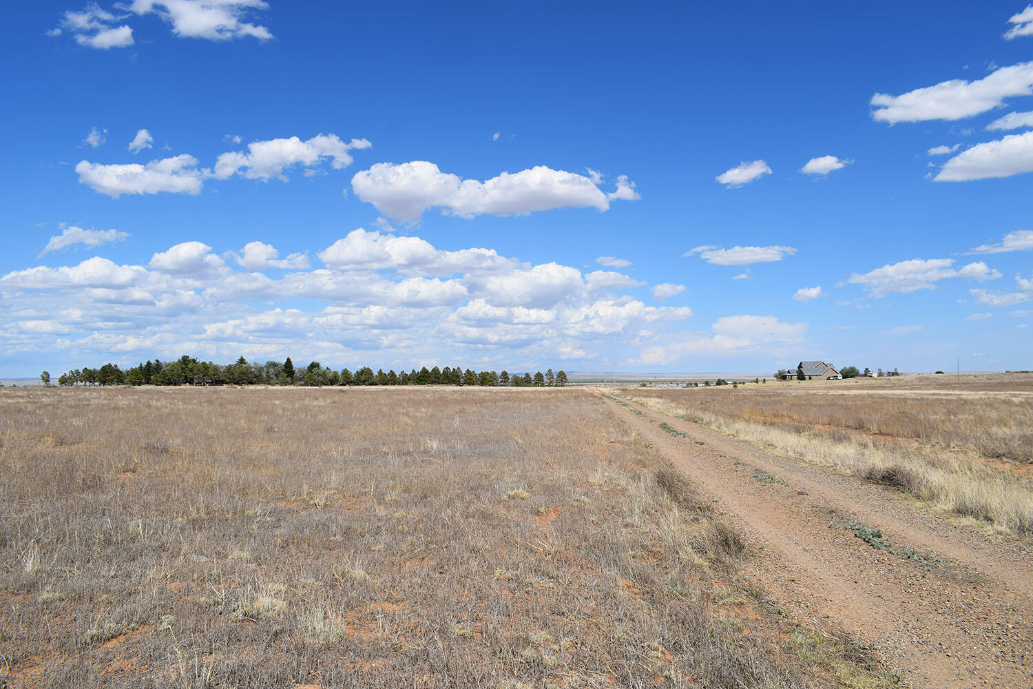 Photo 10 — Lot 30-31 Sam Ford Drive