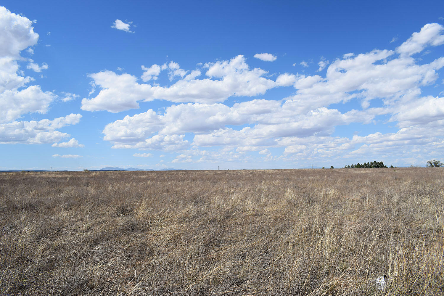 Photo 8 — Lot 30-31 Sam Ford Drive