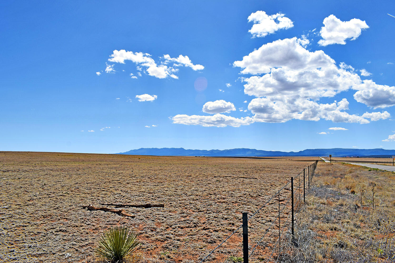 Photo 20 — Tract B-R New Mexico 55