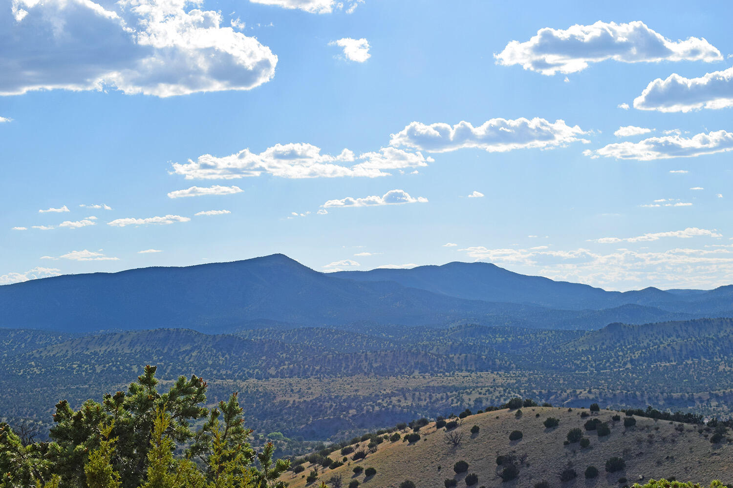 Photo 14 — 8 Overlook Way