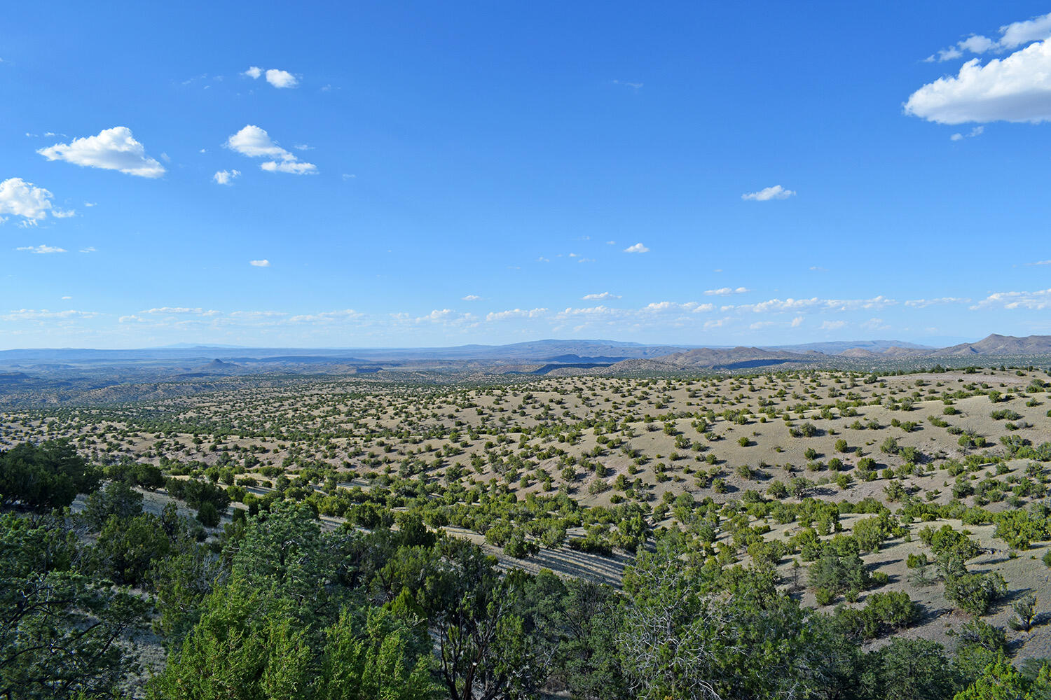 Photo 16 — 8 Overlook Way