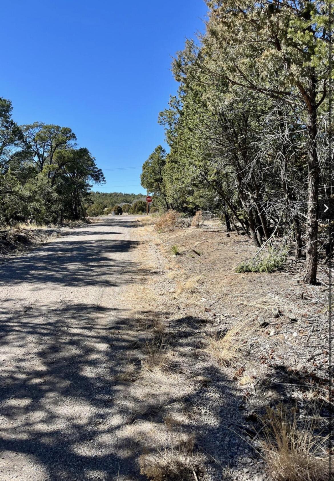 5 Drum Road, Edgewood, NM 87015