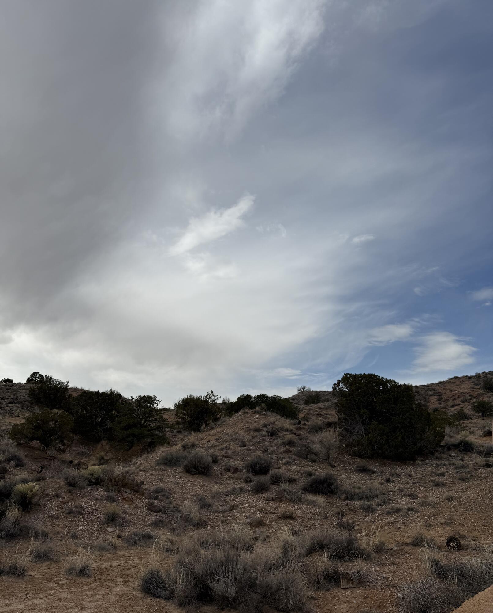 Photo 13 — 2309 DESERT MARIGOLD Road NE