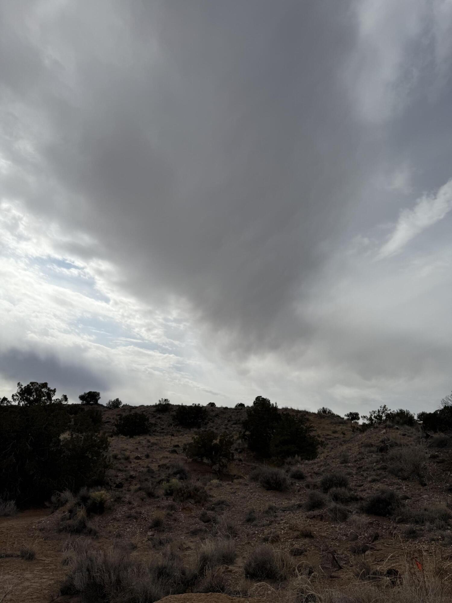 Photo 14 — 2309 DESERT MARIGOLD Road NE