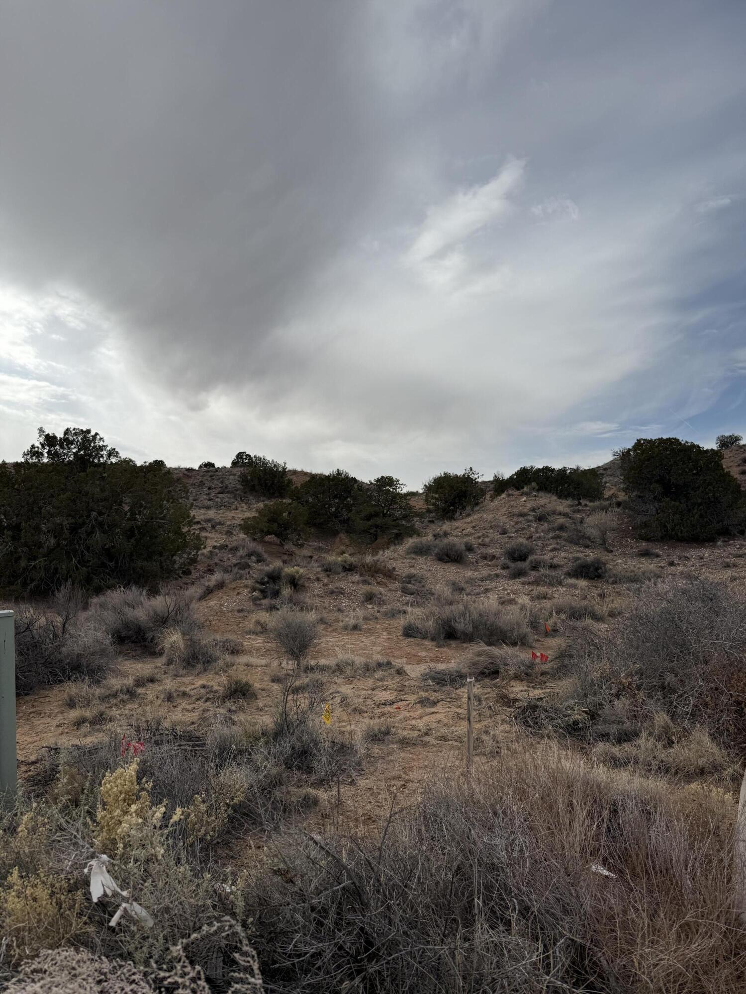 Photo 15 — 2309 DESERT MARIGOLD Road NE