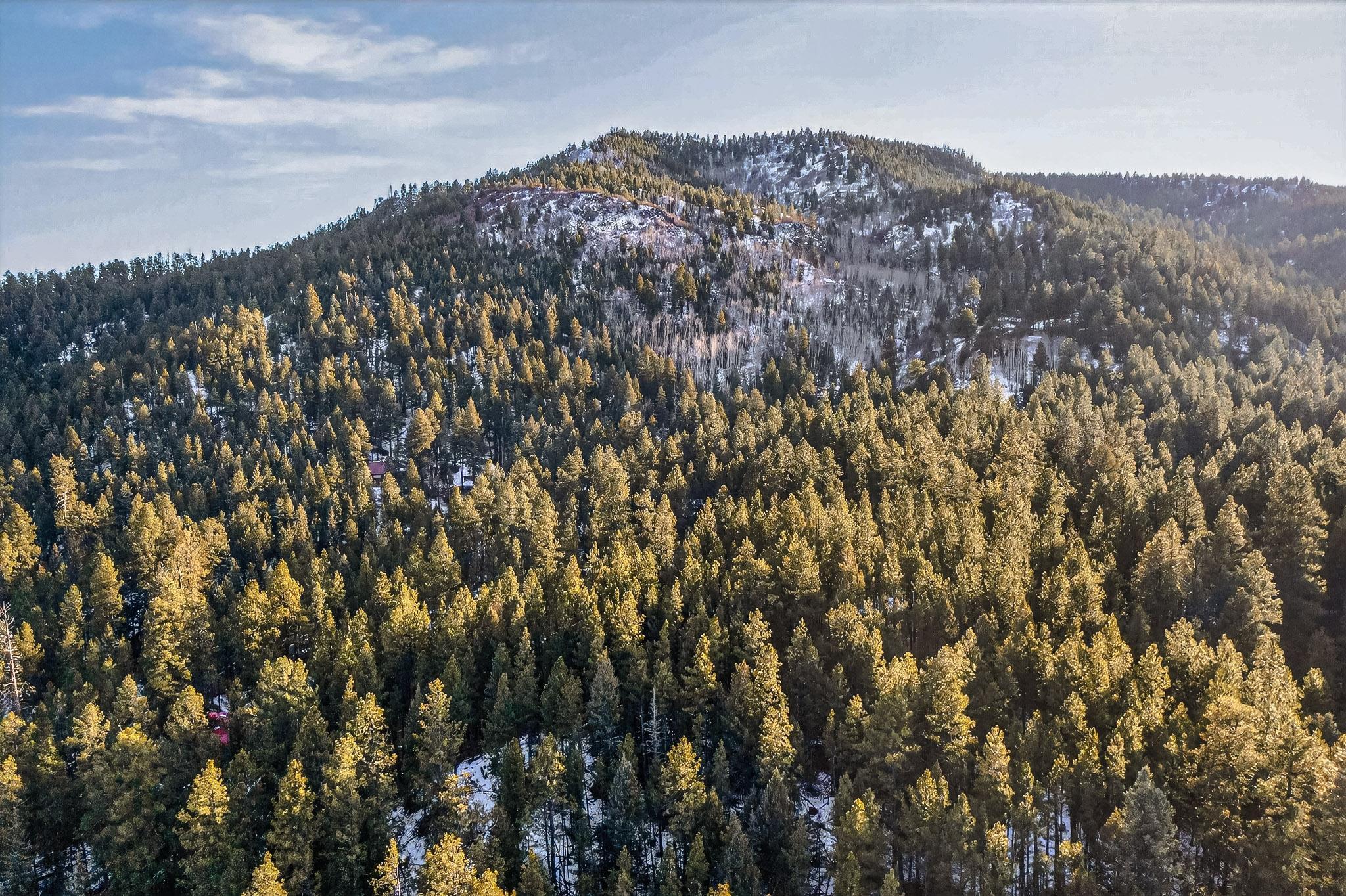 Photo 4 — 455 Obsidian Road