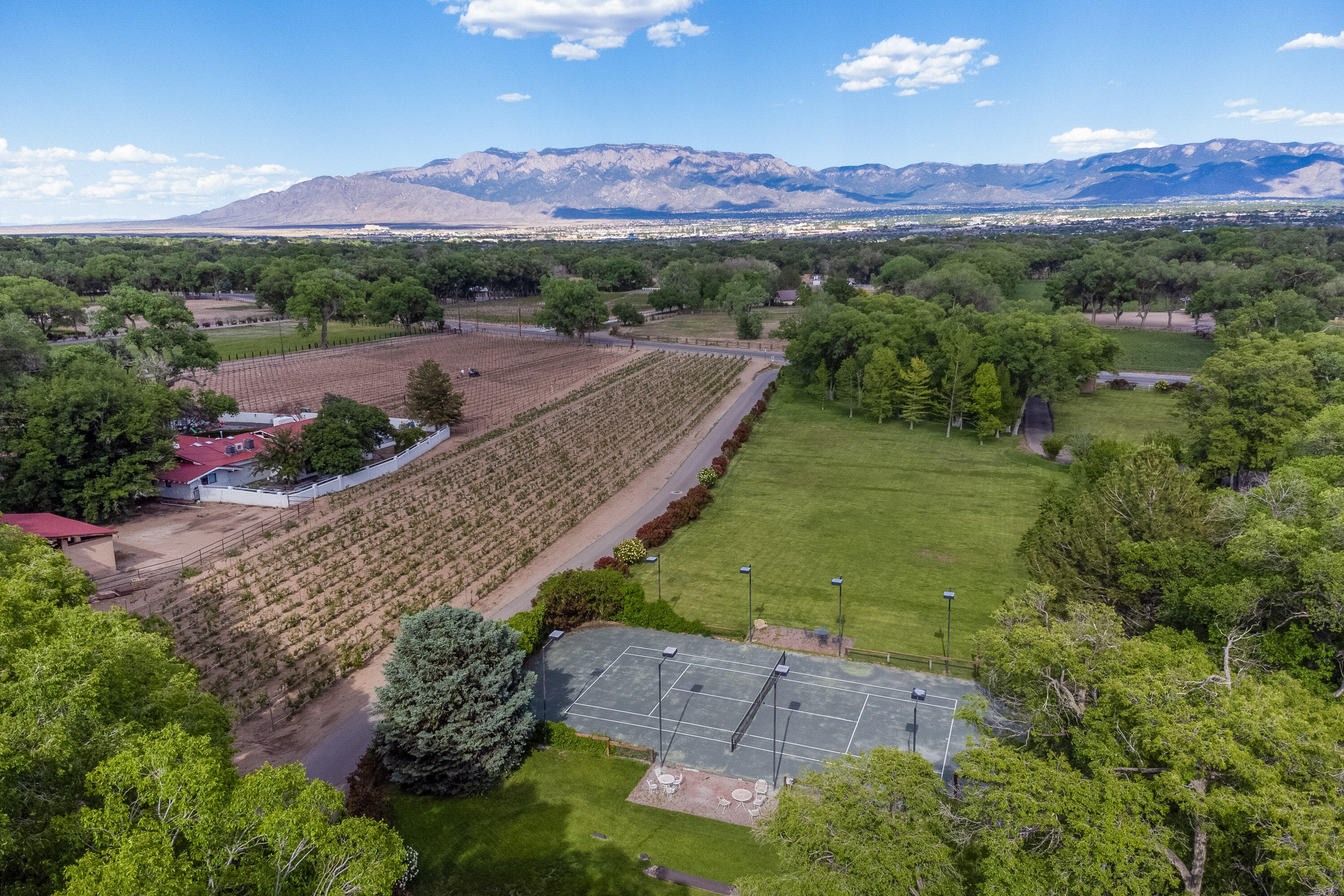 Photo 20 — 7011 Rio Grande Boulevard NW