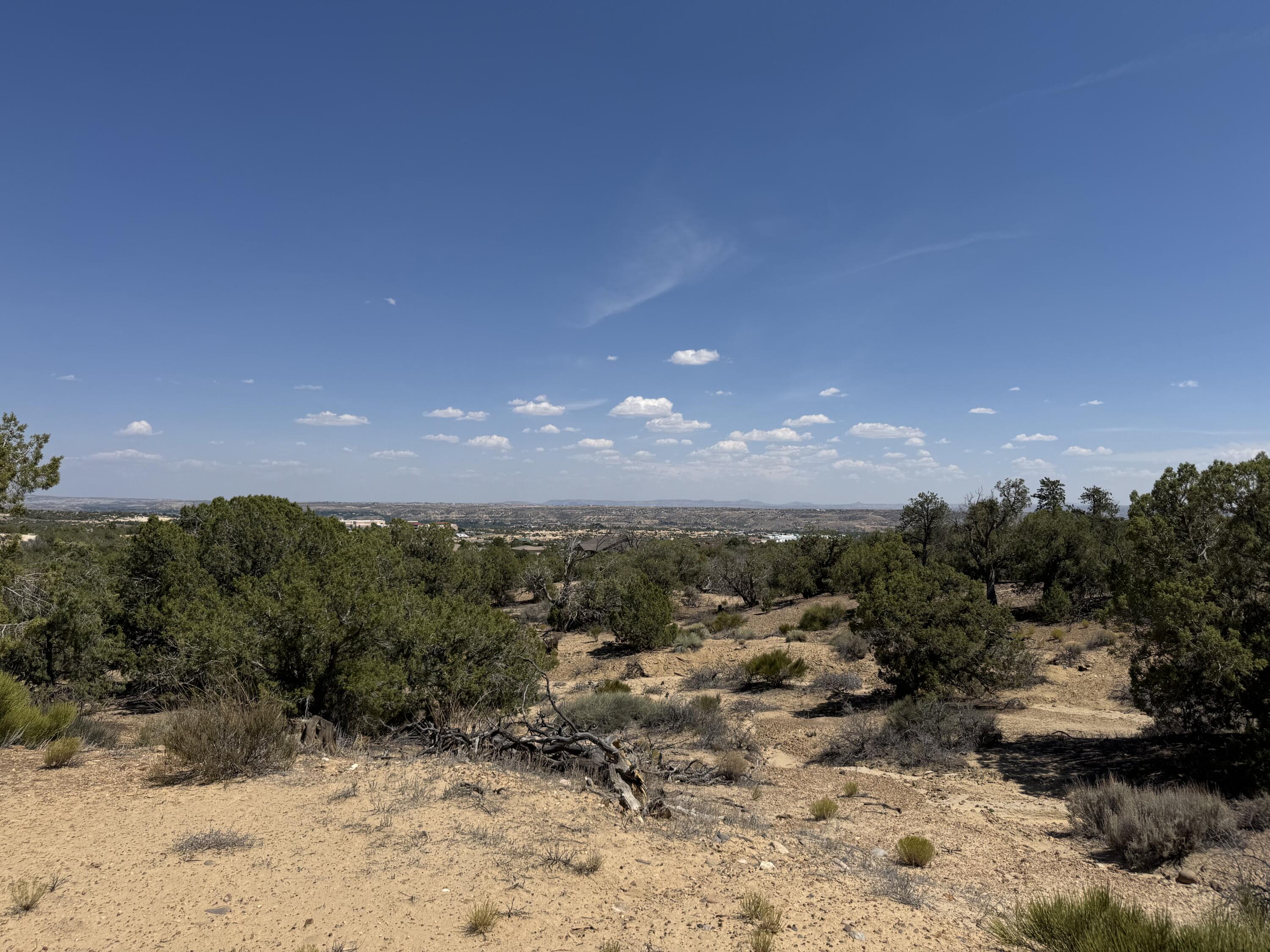 Photo 3 —  E Lions Trail Trail