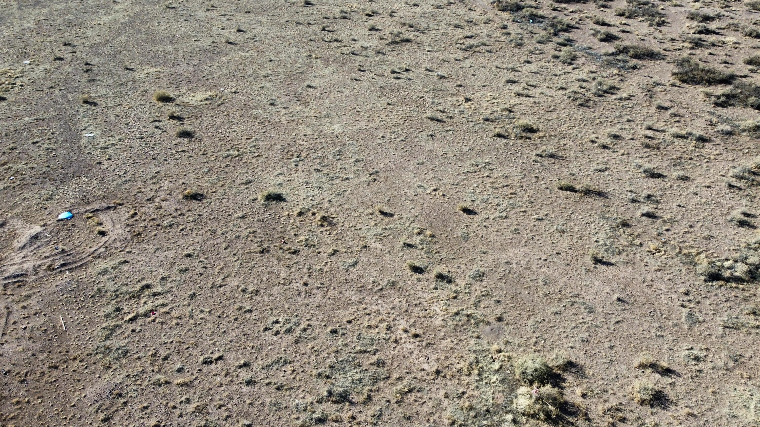 Photo 13 —  E Frontage Tract B1 Road